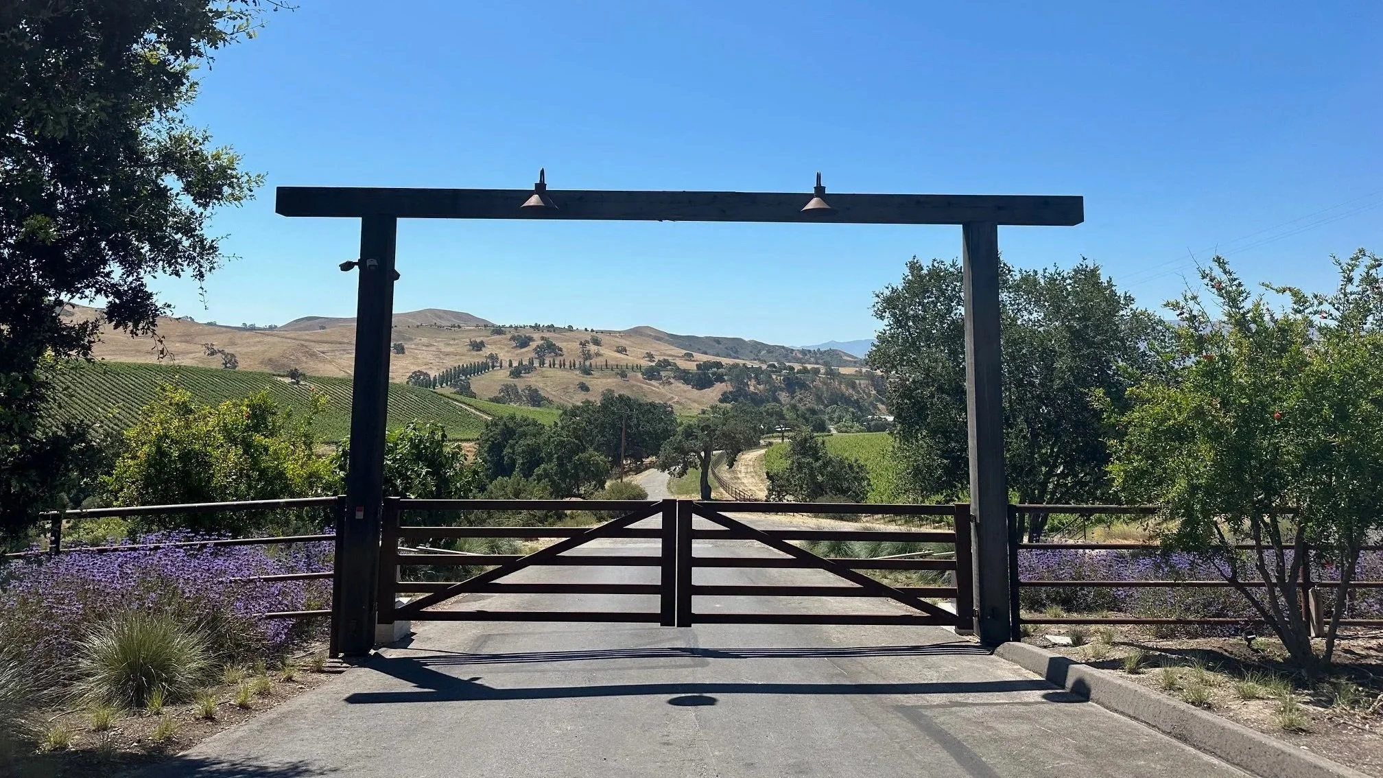 Kiani+Gate.jpg