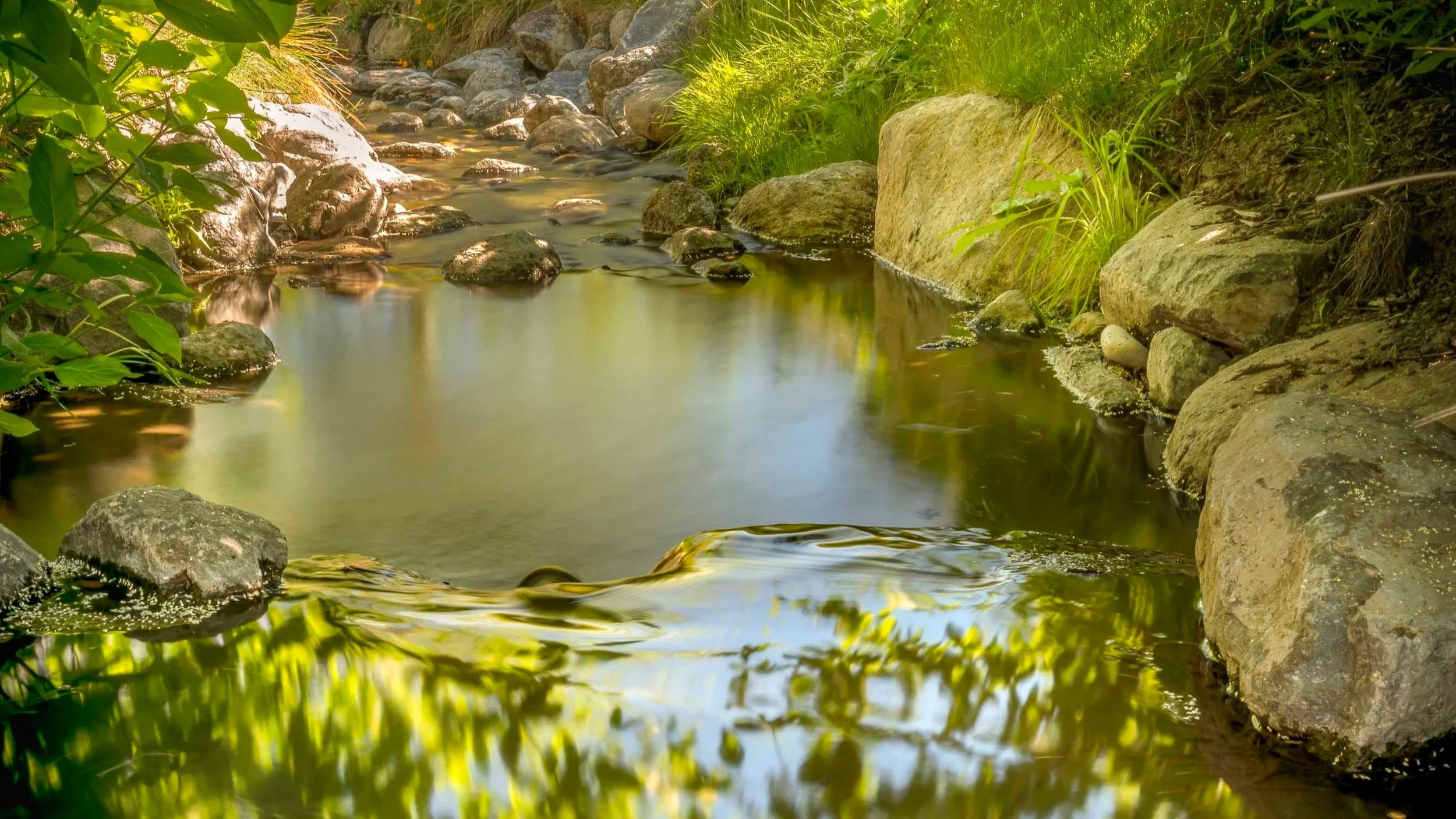 Sonoma+Pond+-+Stream.jpg