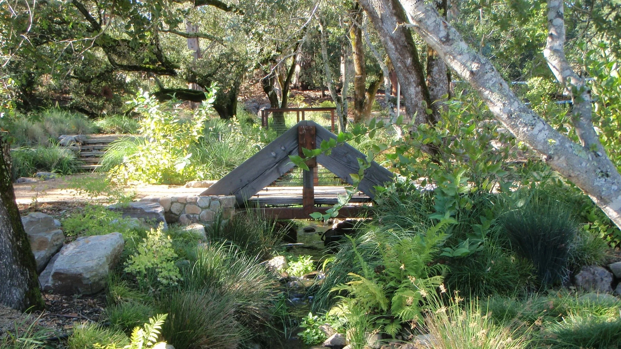 foot bridge