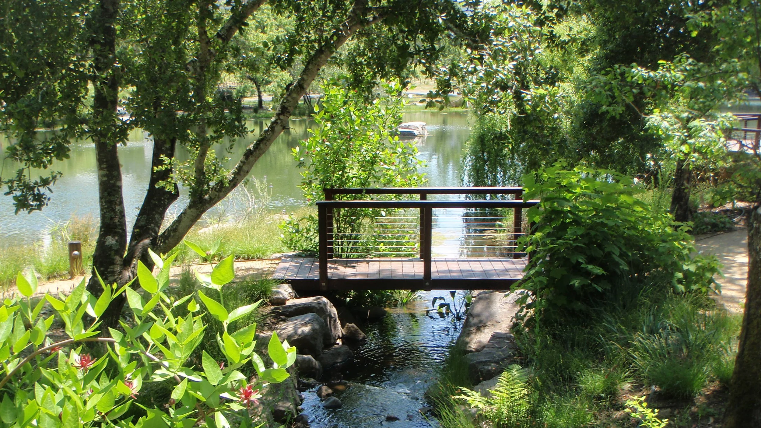 foot bridge