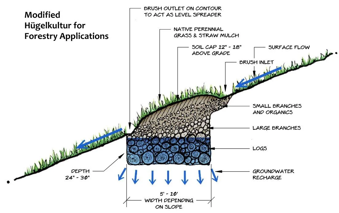 Modified Hügelkultur Technique for Forestry Practices used in Napa County