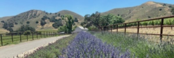 SANTA YNEZ RANCH DESIGN