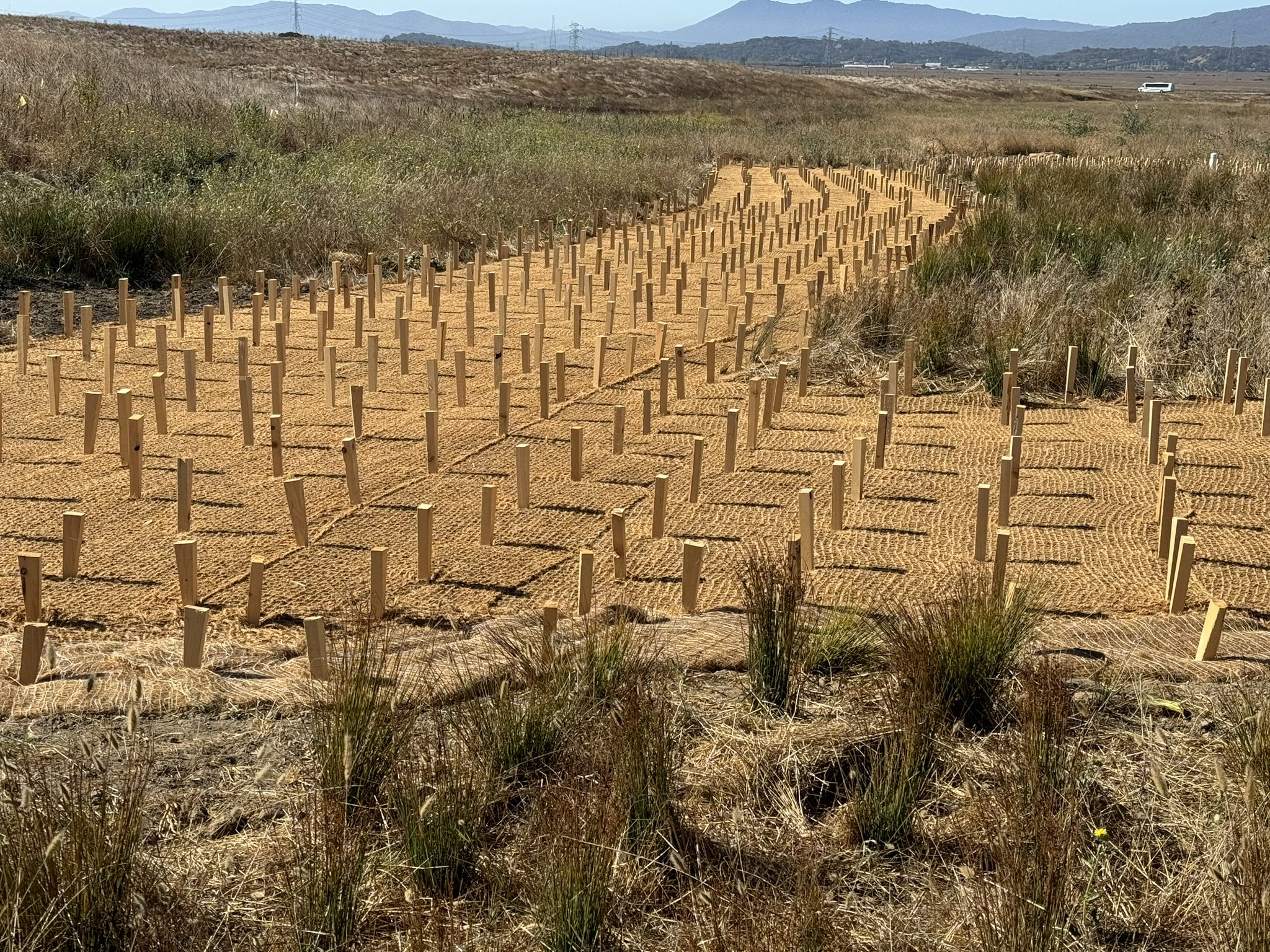 markers on the ground