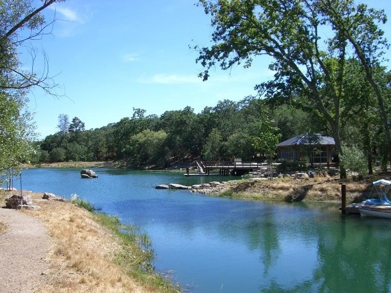 pond