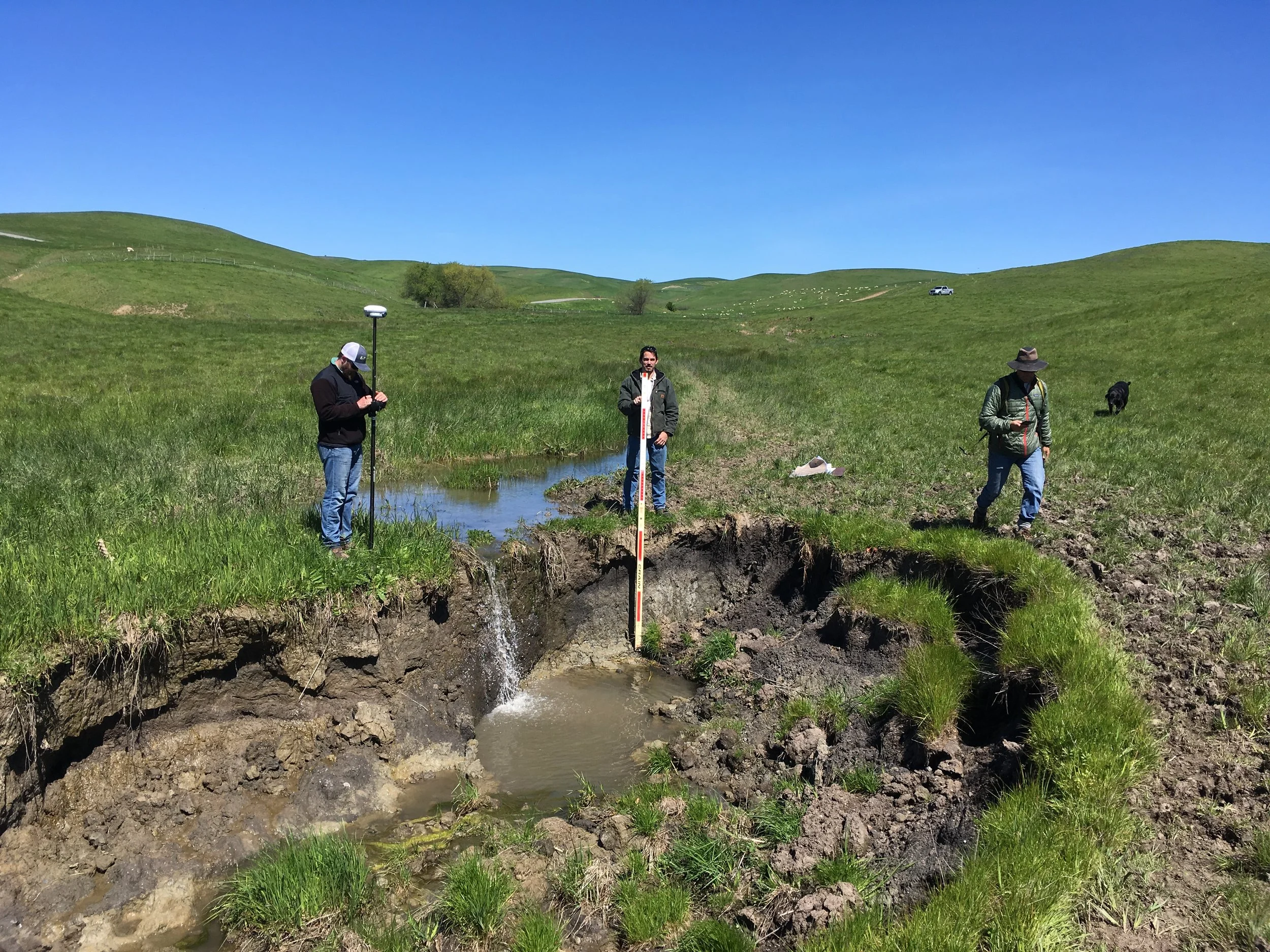 workers doing survey