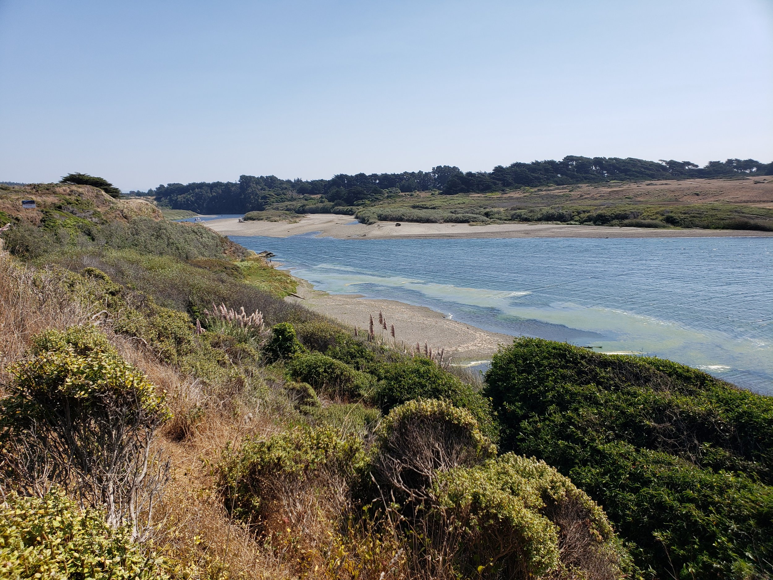 Estuary