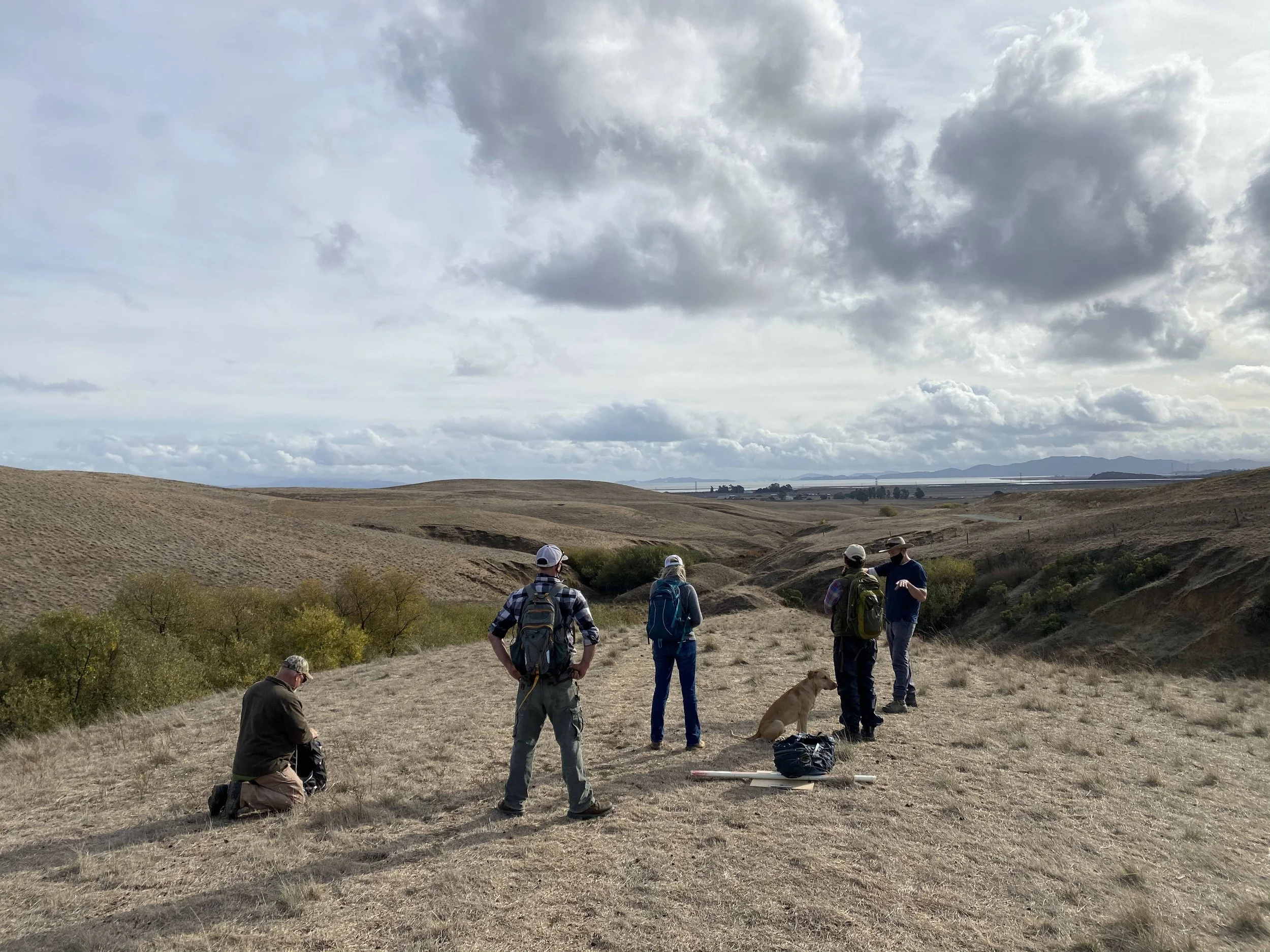 site assessment