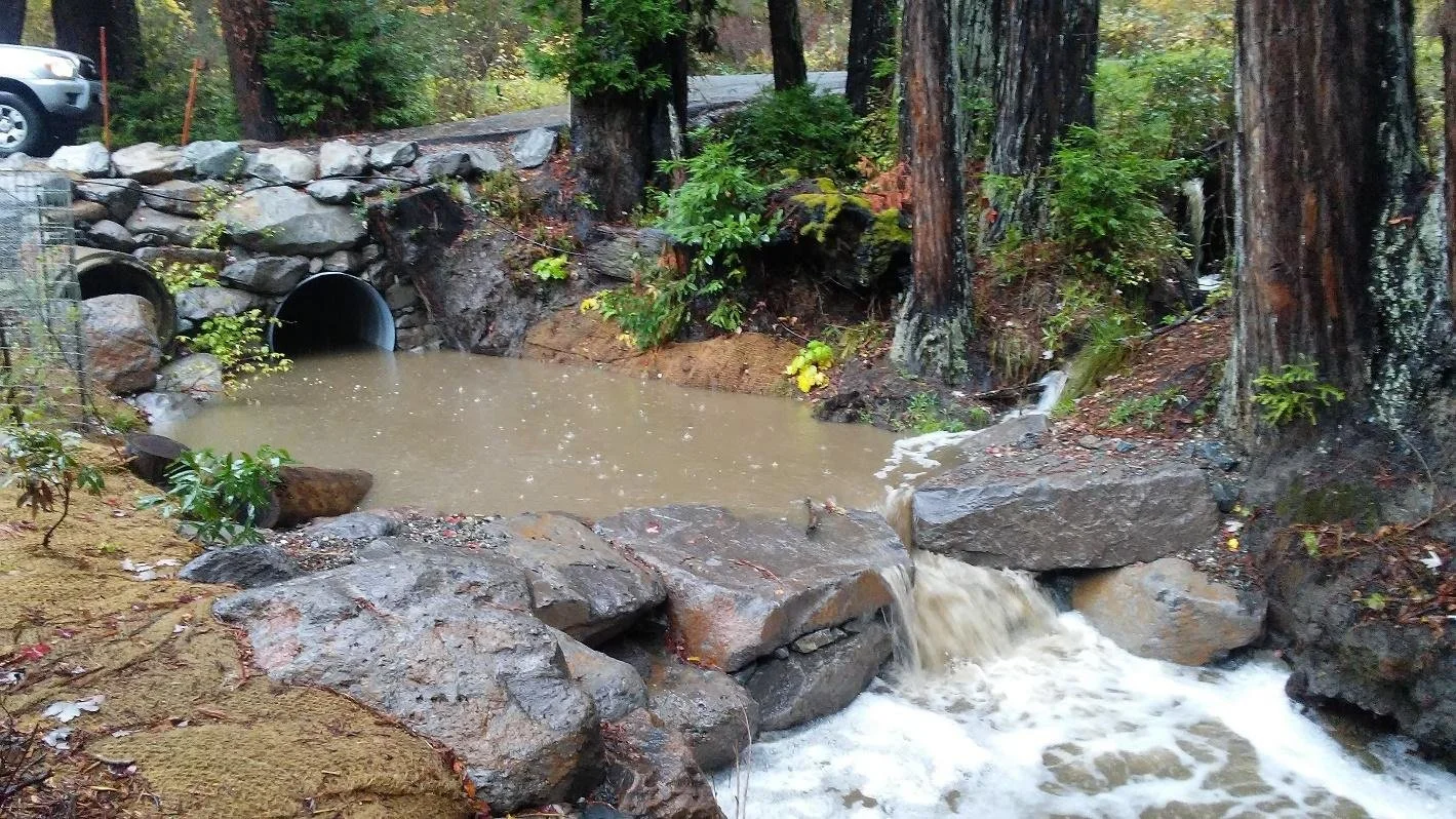Sebastopol Culvert Replacement & Habitat Protection