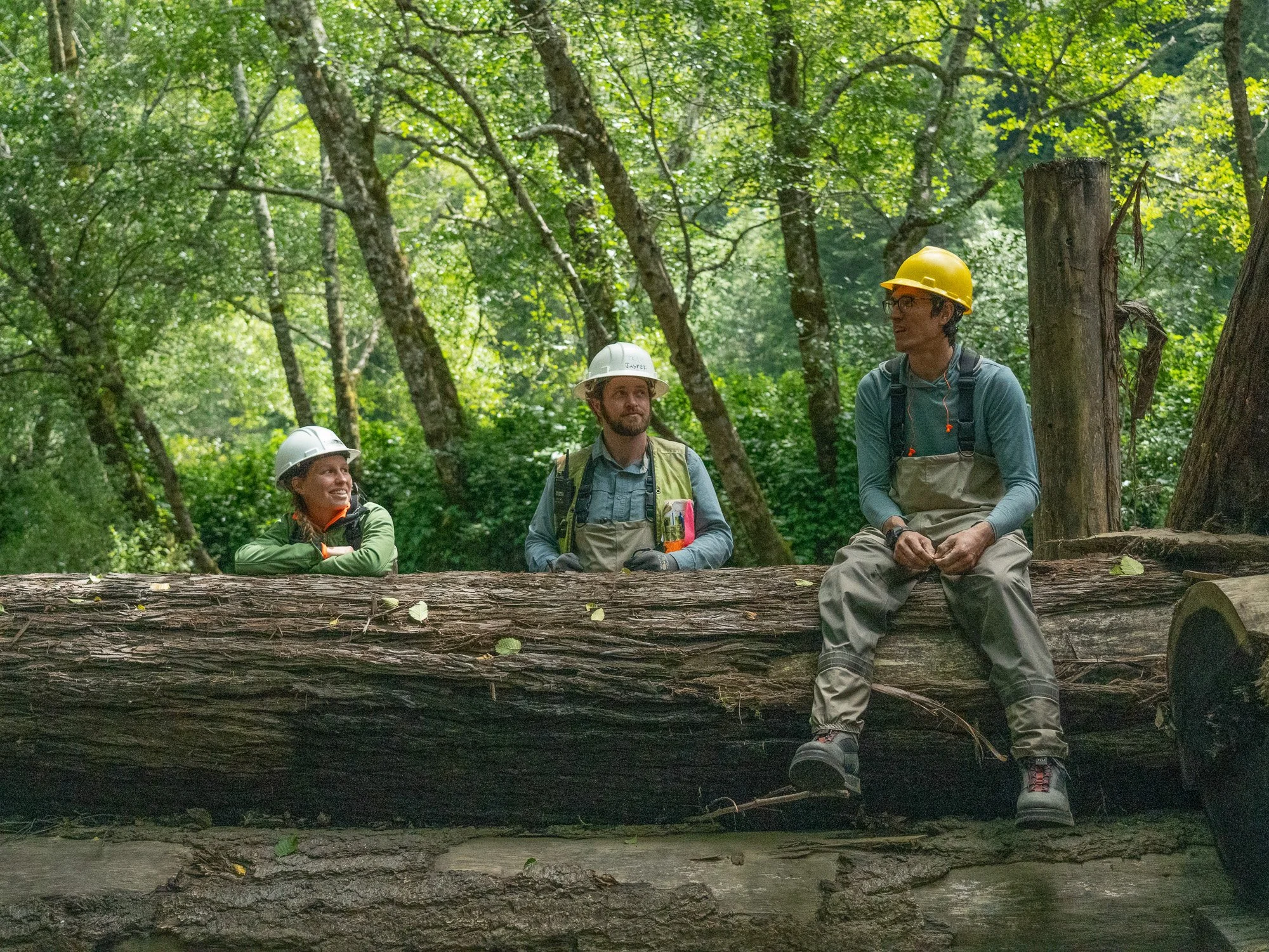 Workers sitting on a log