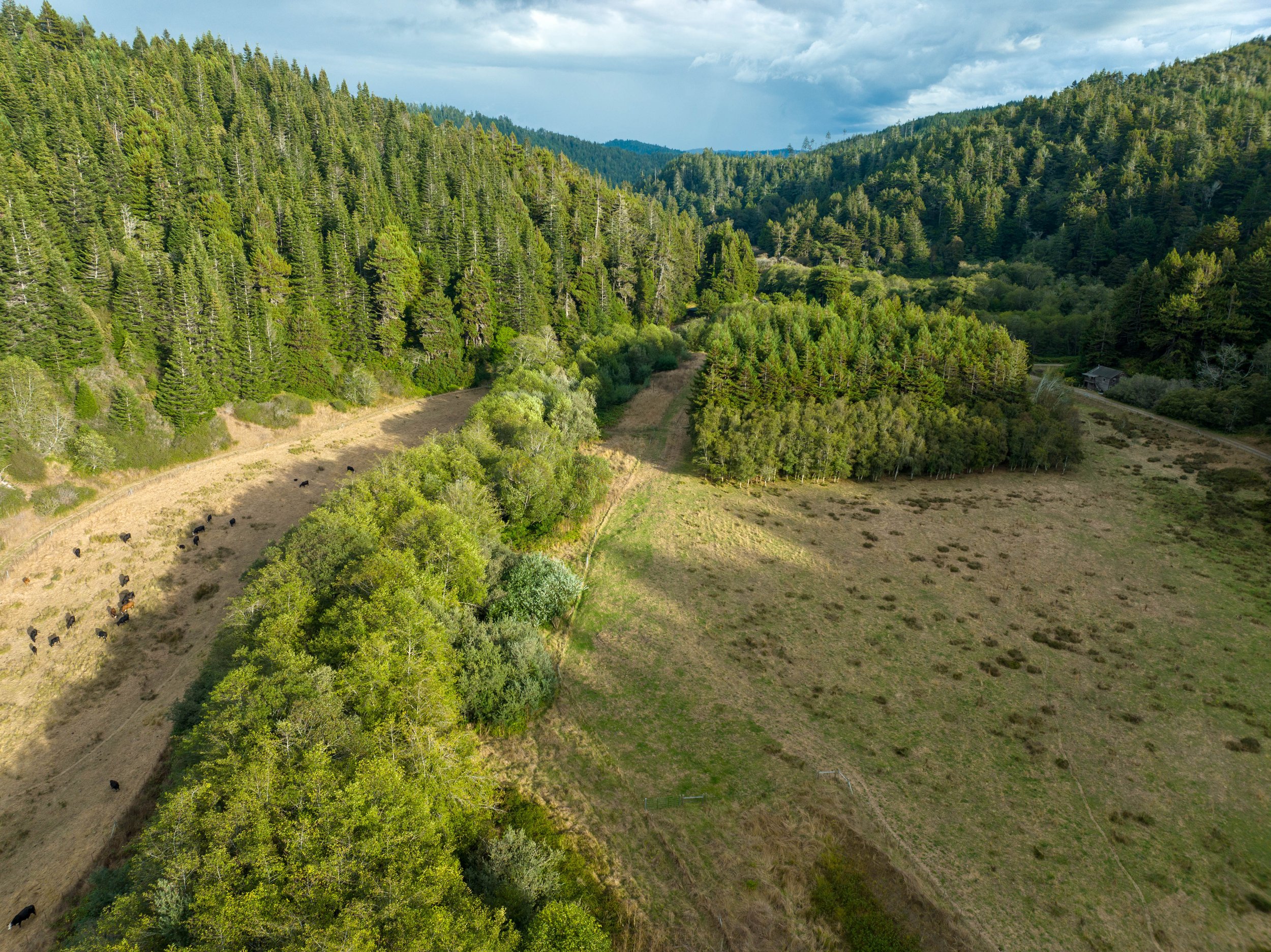 Lower Ten Mile River Salmonid Habitat Enhancement Design and Regulatory Compliance