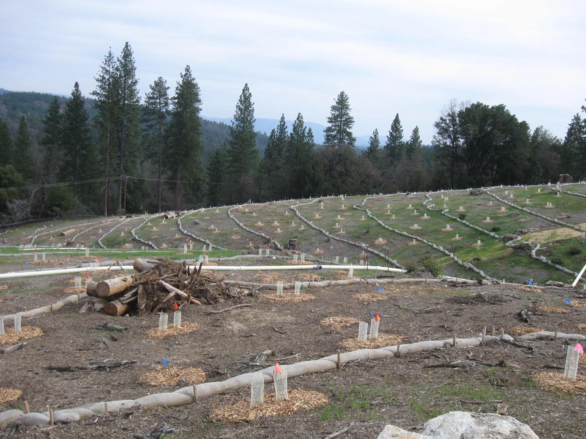 ground markers
