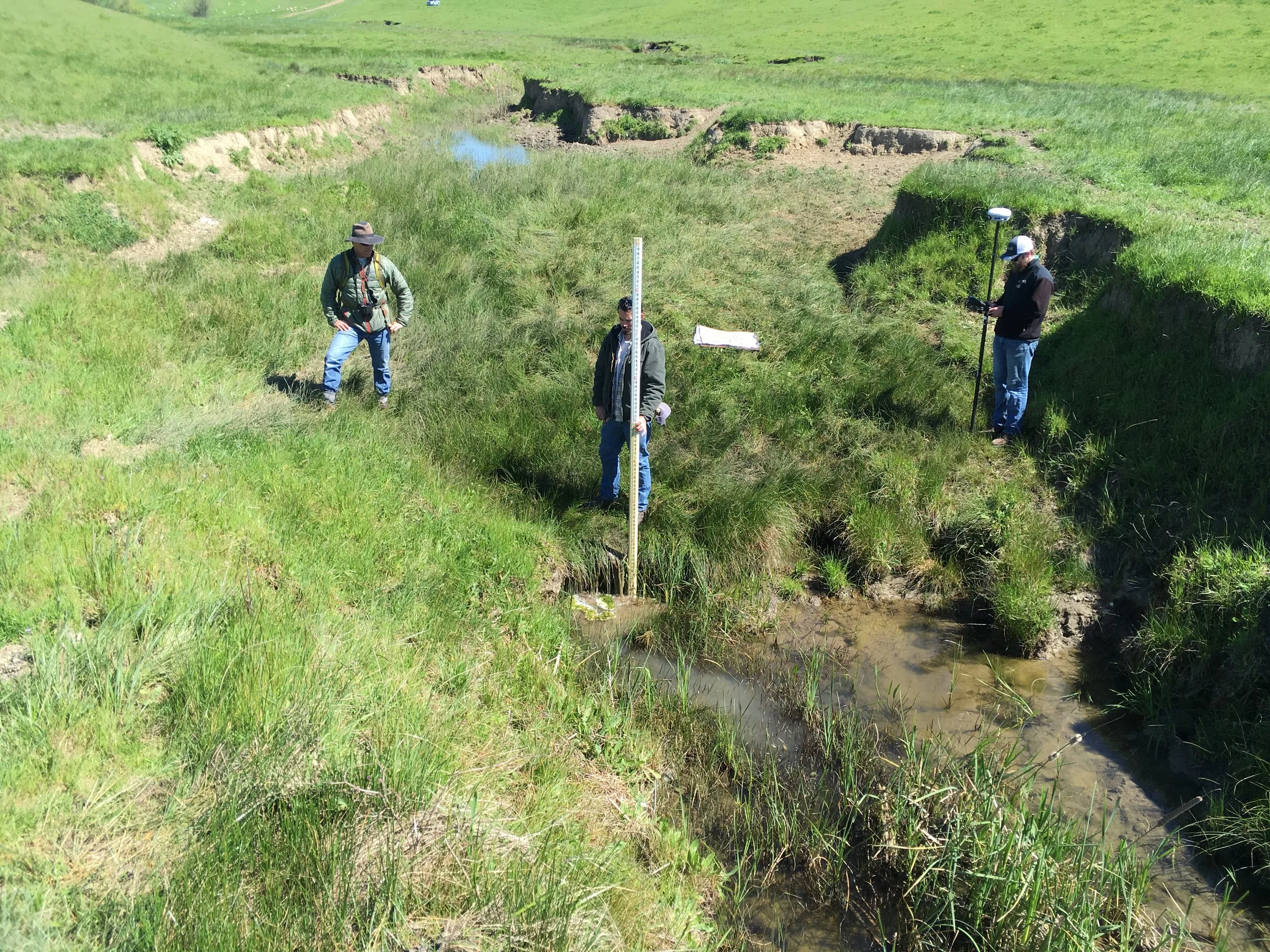 Workers doing survey