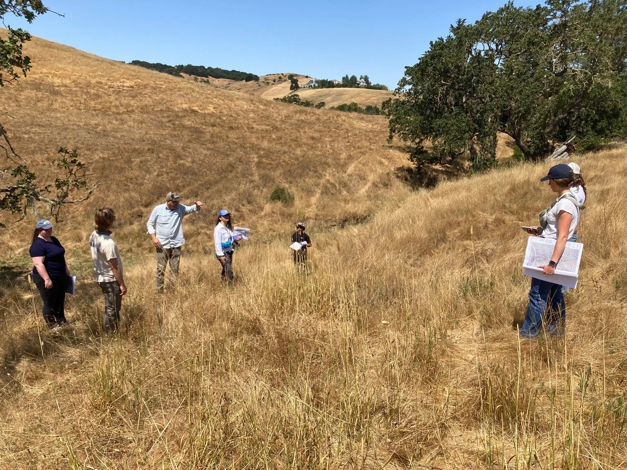 workers in field