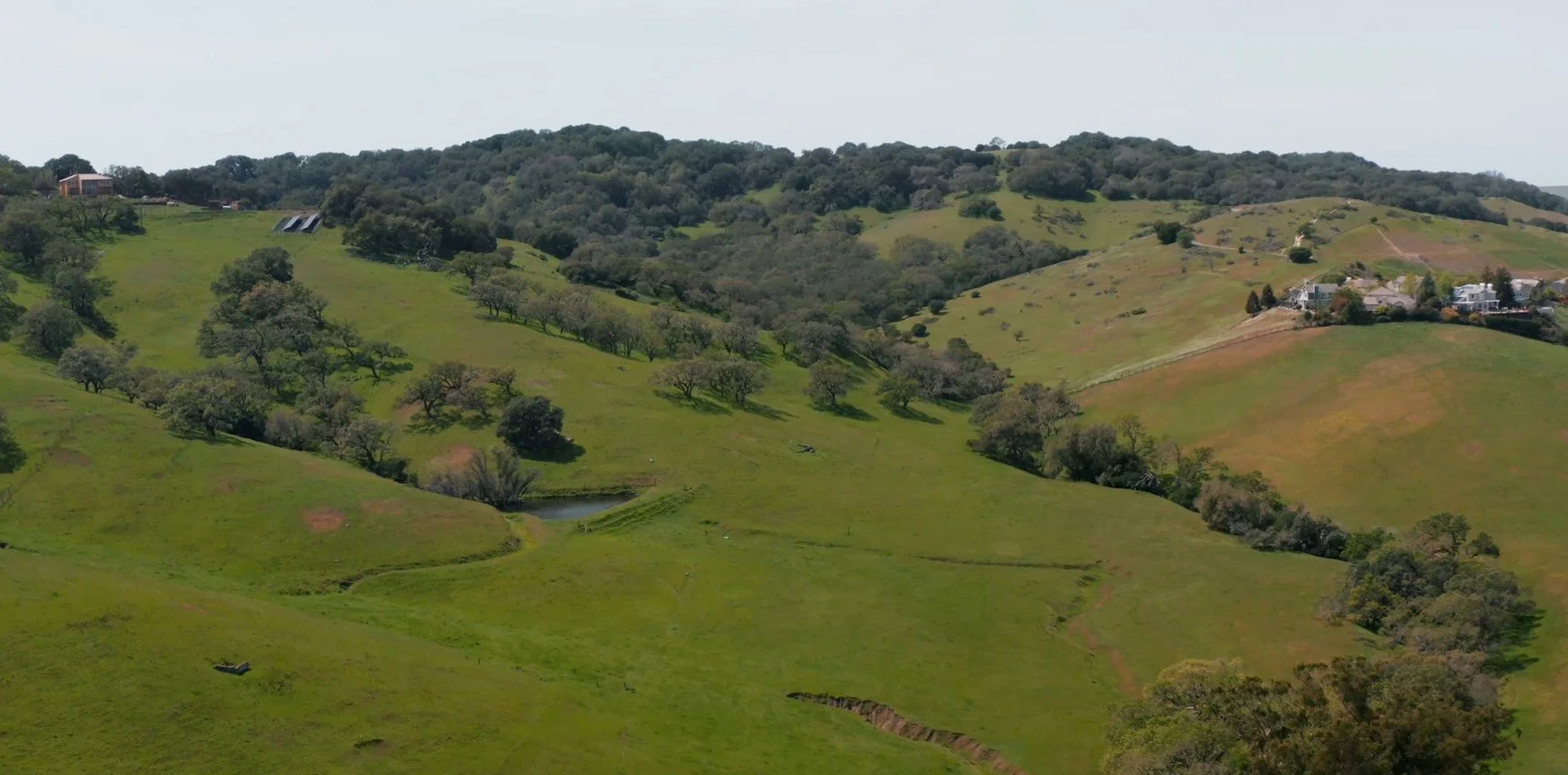 hillside