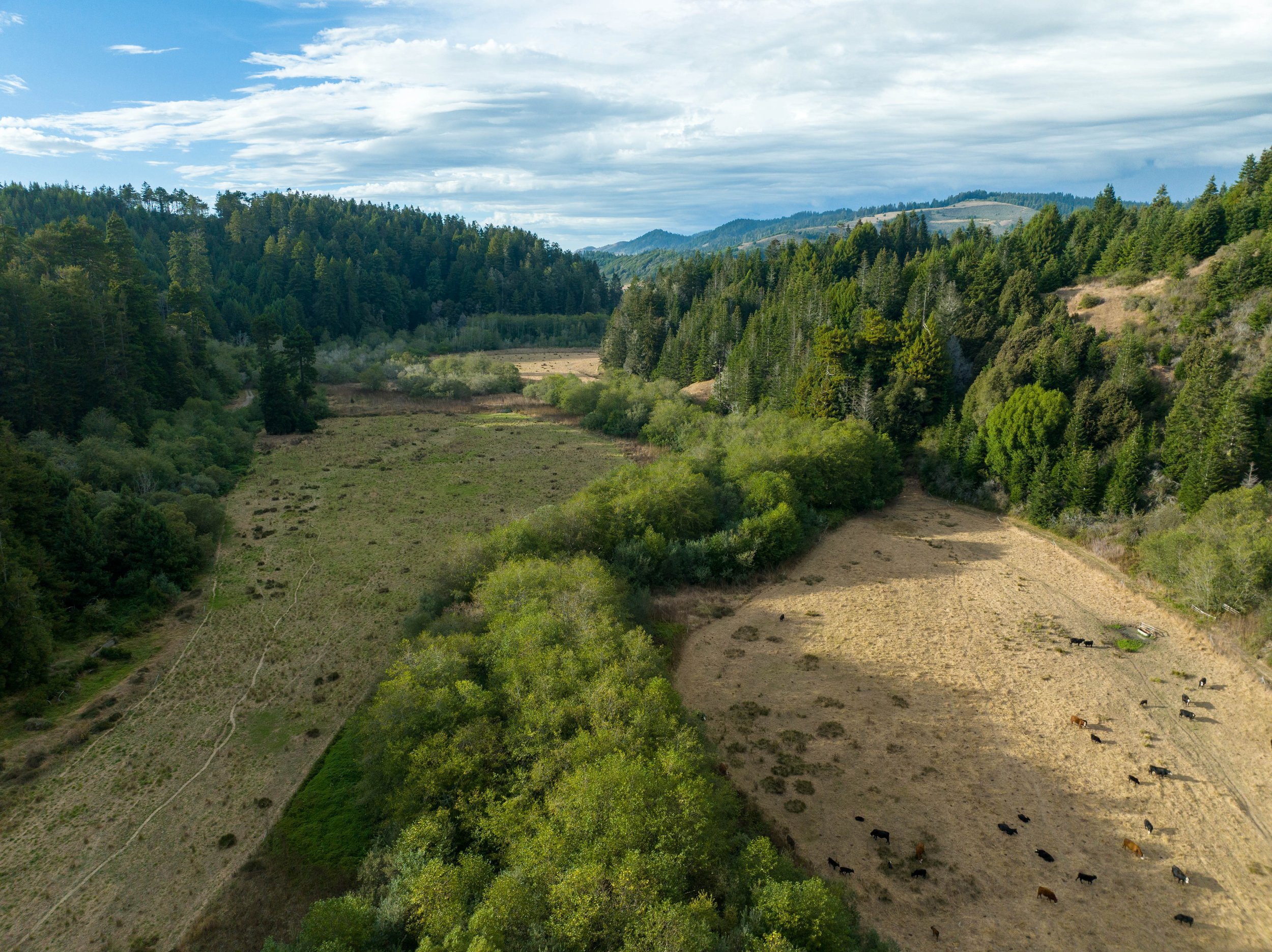 Ten Mile Aerial photo