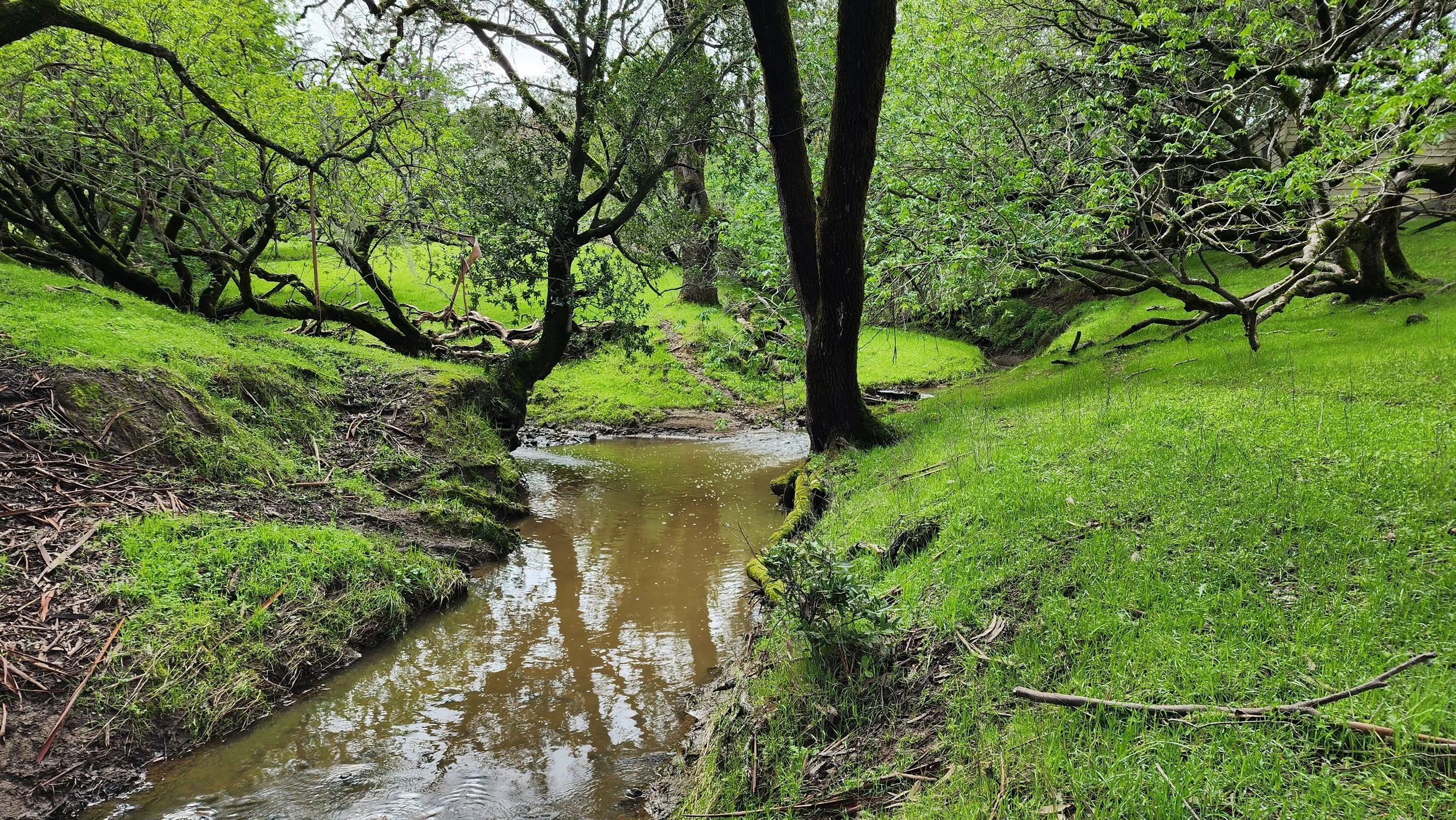 Creek
