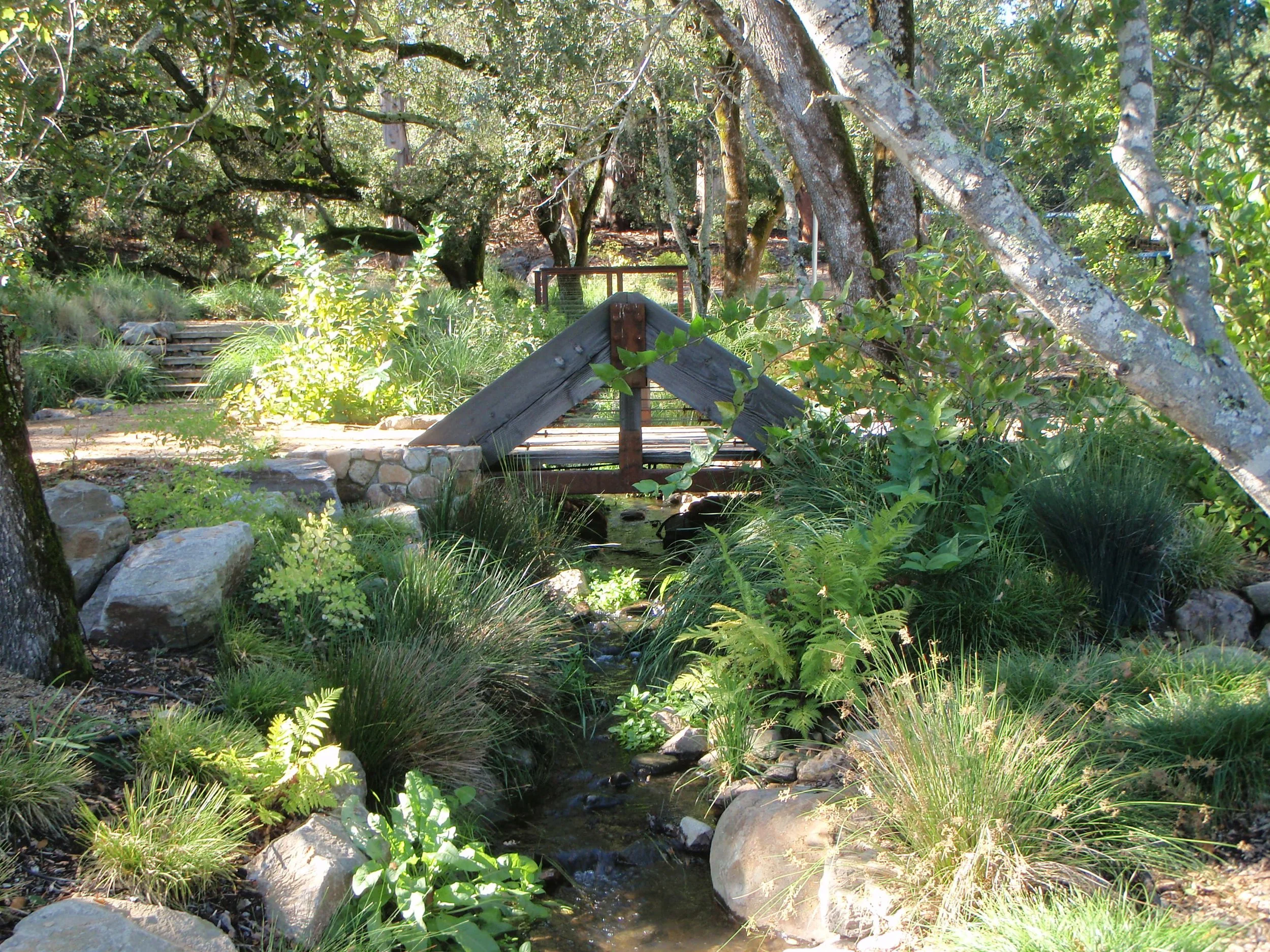 Justi Pond -- small bridge stream crossing.jpg