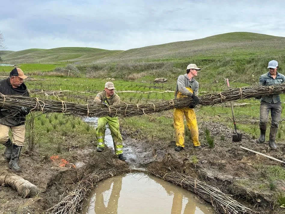 Workers moving brush