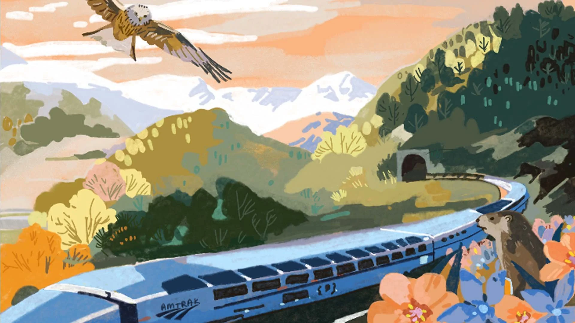 Amtrak