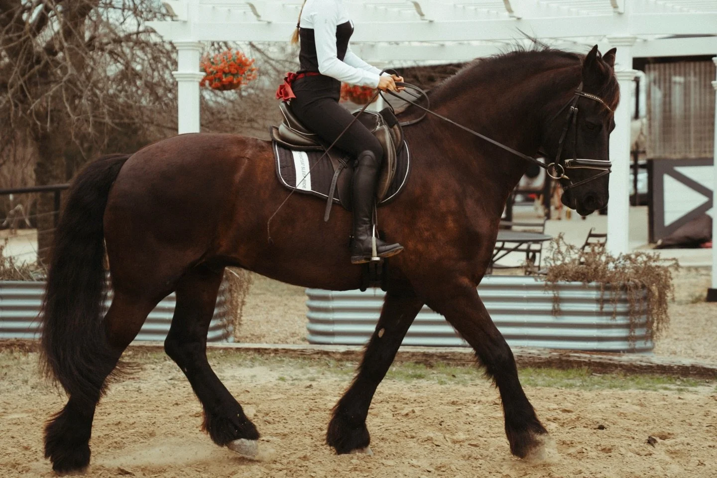 I think I&rsquo;m due for another Texas trip ✨
Lately I&rsquo;ve really been wanting to lean more into the equestrian fashion world&mdash;there&rsquo;s just something about combining horses + style that I&rsquo;m completely obsessed with. Texas or Ca