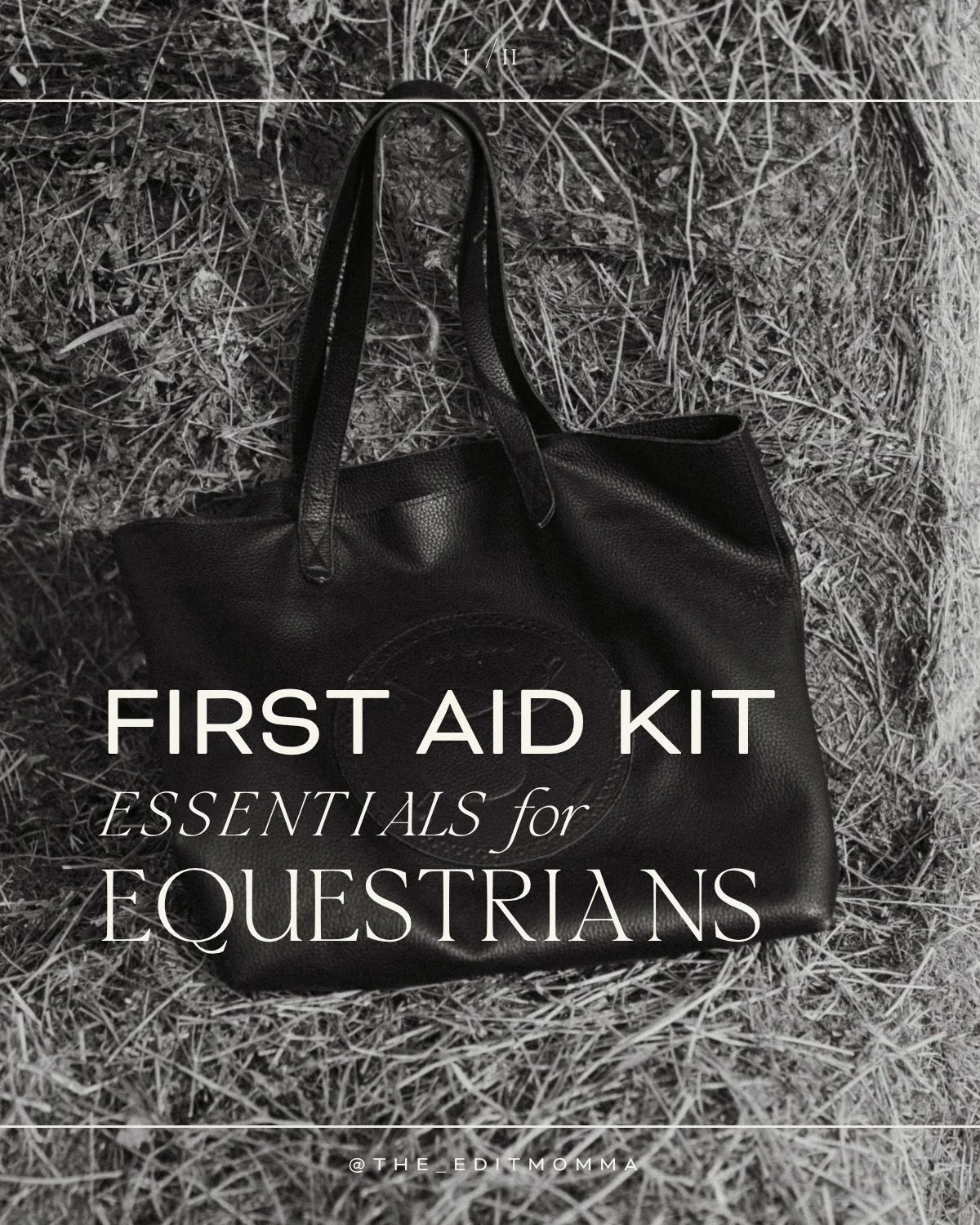 A few first-aid kit basics I think every equestrian should have on hand.

You never really want to need your first-aid kit&hellip; but when something happens, you definitely want to be prepared.

These are some of the things I keep on hand for Whiske