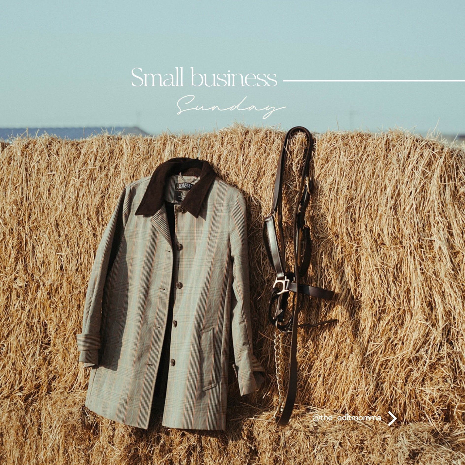 Small Business Sunday!

So many fun brands in this week&rsquo;s roundup! I love getting to highlight and support the small businesses that make the equestrian community so special.

Who am I forgetting?! Tag your favorite equestrian brands in the com