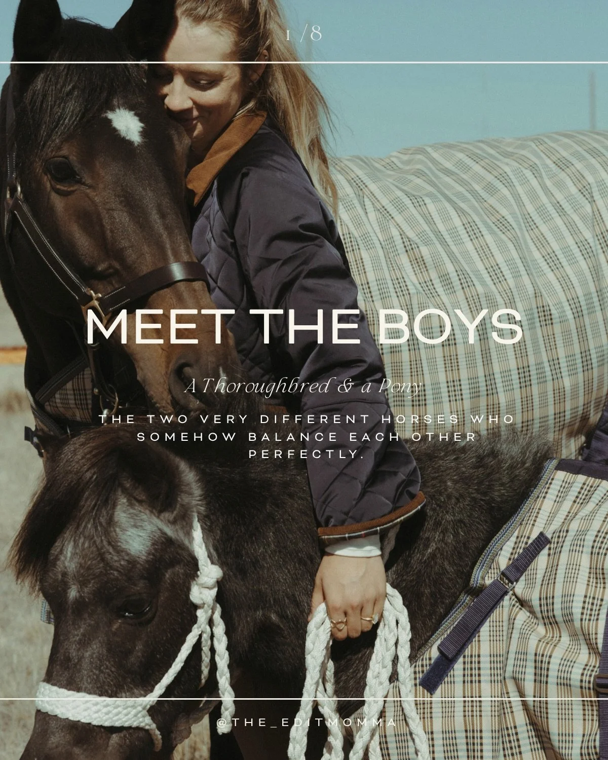 Meet the boys.

If you&rsquo;re new around here, let me introduce you to the two horses who have completely stolen my heart.

Whiskey is my 11-year-old Thoroughbred, who came into my life in November 2025. He had only about three months of English ex