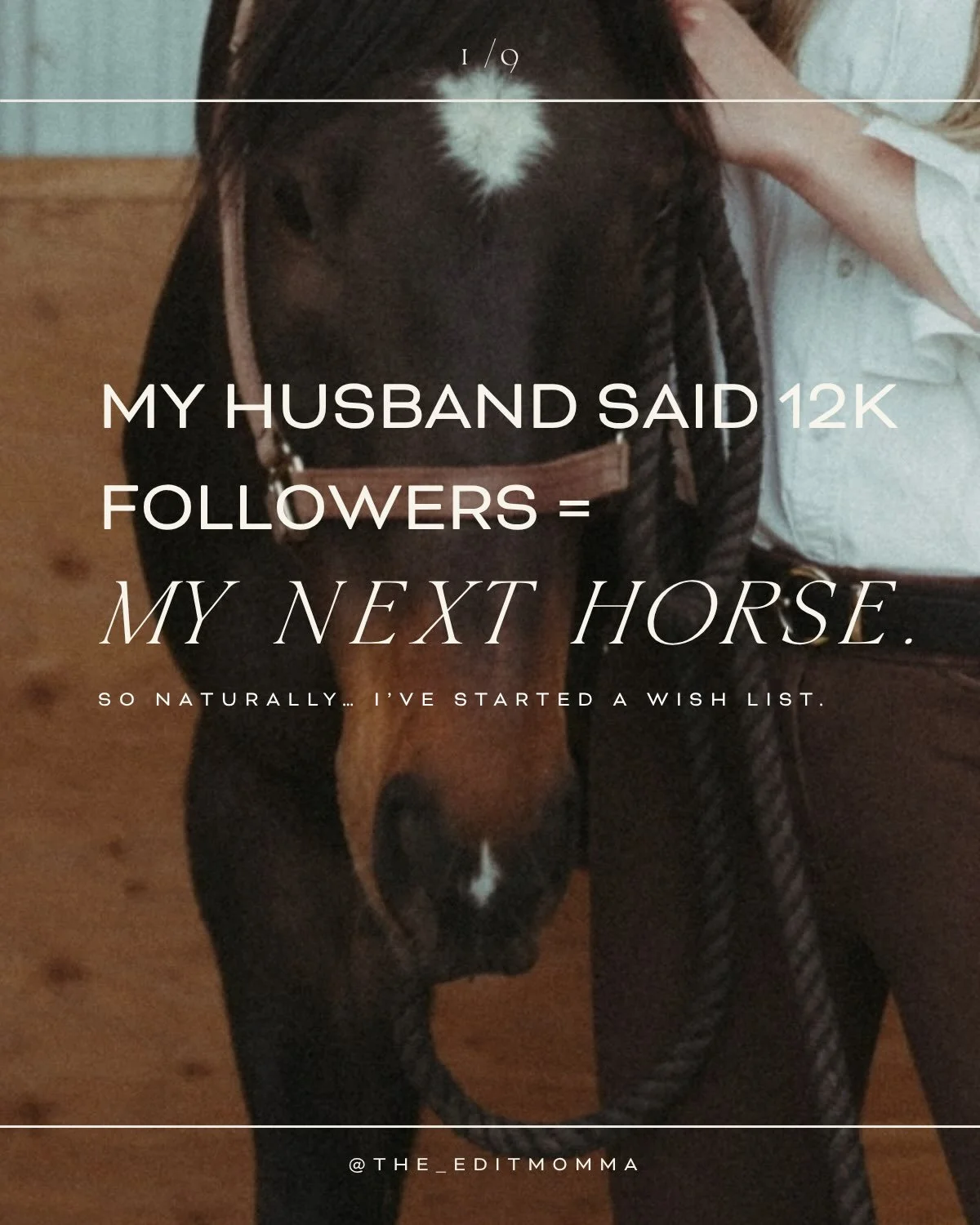 My husband made me a deal: 12,000 followers = my next horse. So naturally, I&rsquo;ve started making a wish list.

I&rsquo;m dreaming of a 16.2&ndash;17+ hand Thoroughbred with a little more substance, ideally a big black boy, somewhere around 4&ndas
