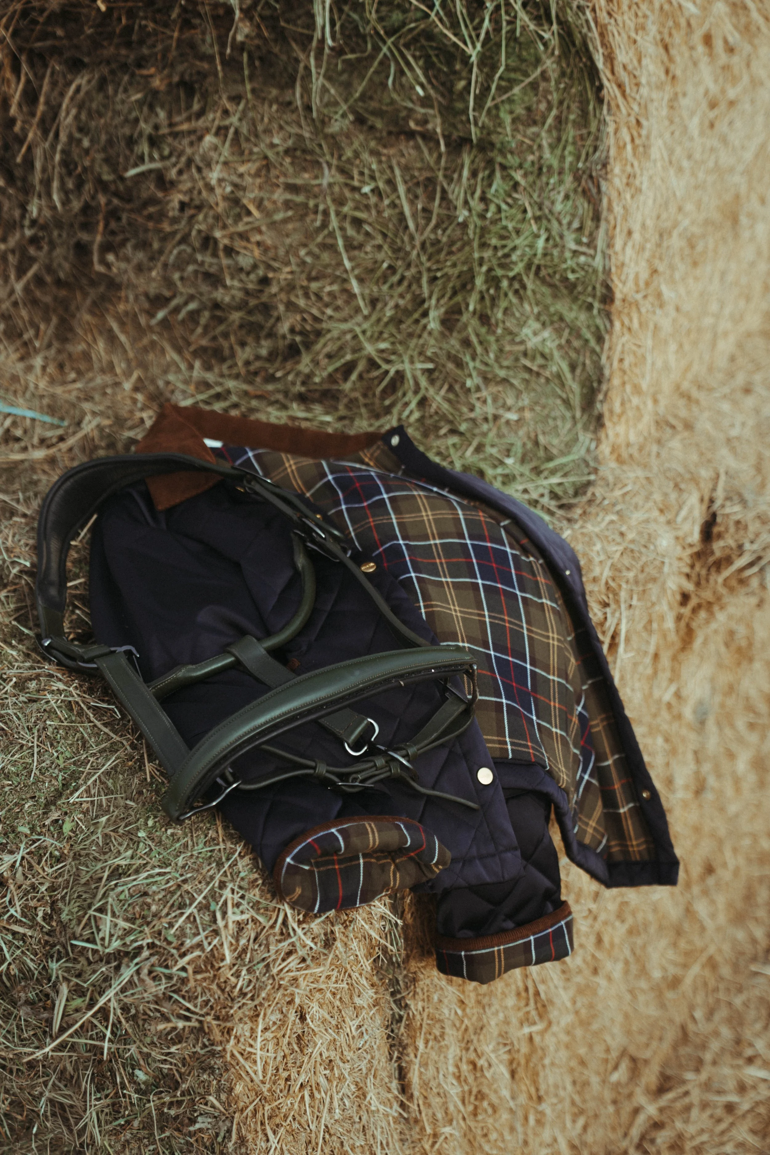 Equestrian product-style photographs featuring a halter and jacket in a beautiful outdoor setting, showcasing the product, equestrian lifestyle, and connection with the  horse life through natural, editorial-inspired imagery.