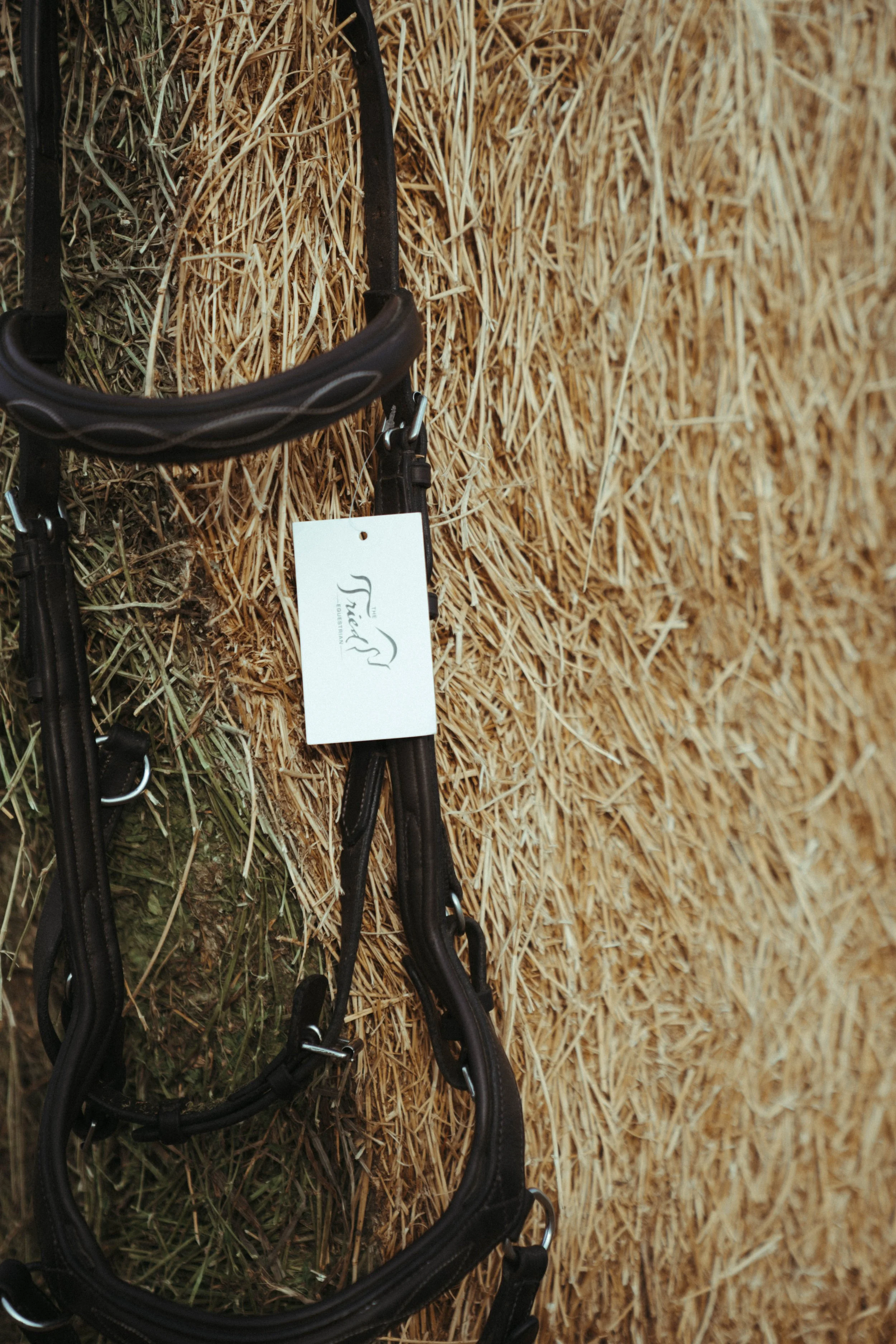 Equestrian product-style photographs featuring a halter and jacket in a beautiful outdoor setting, showcasing the product, equestrian lifestyle, and connection with the  horse life through natural, editorial-inspired imagery.