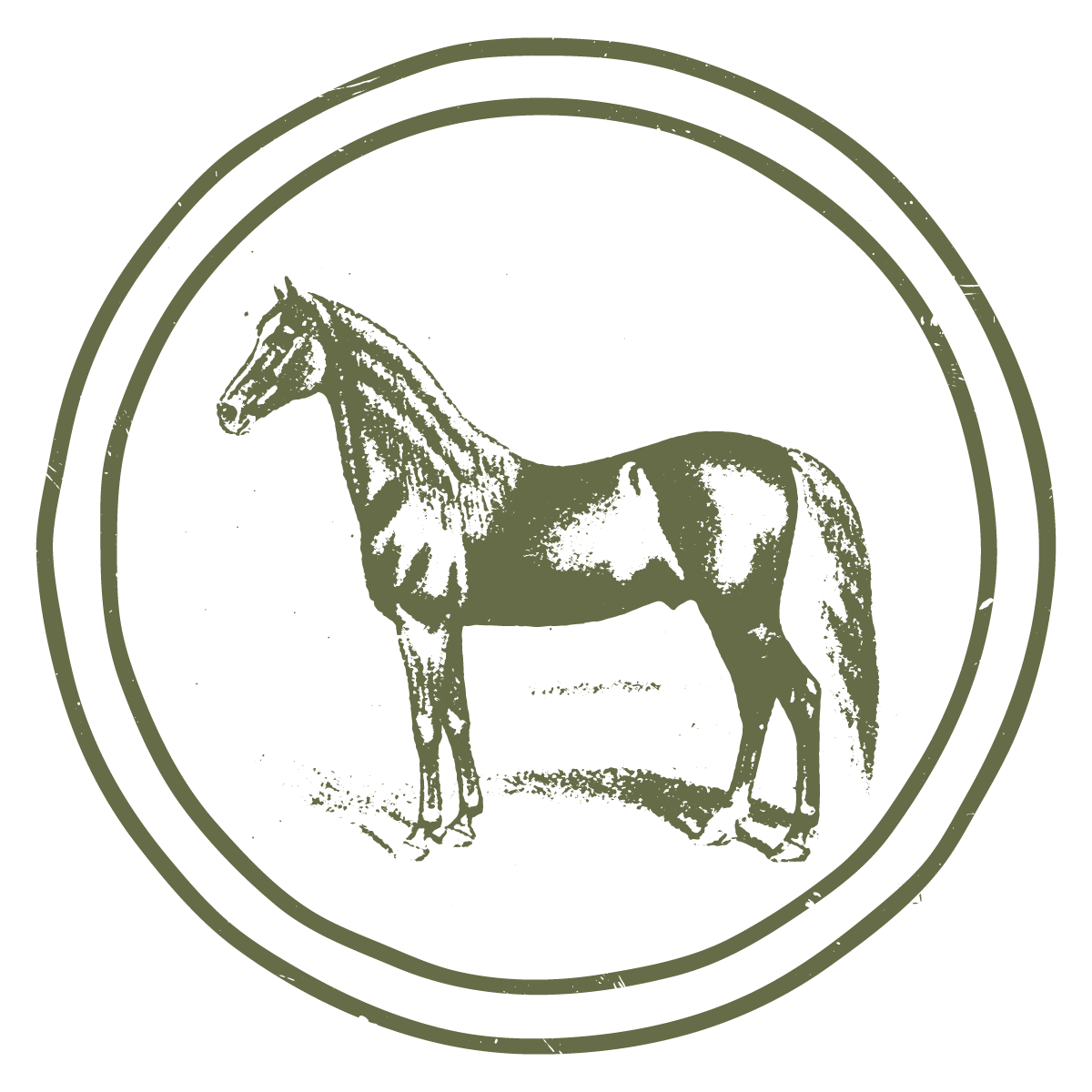 Minimal vintage-style line illustration of a horse walking inside a circular border in muted olive green.