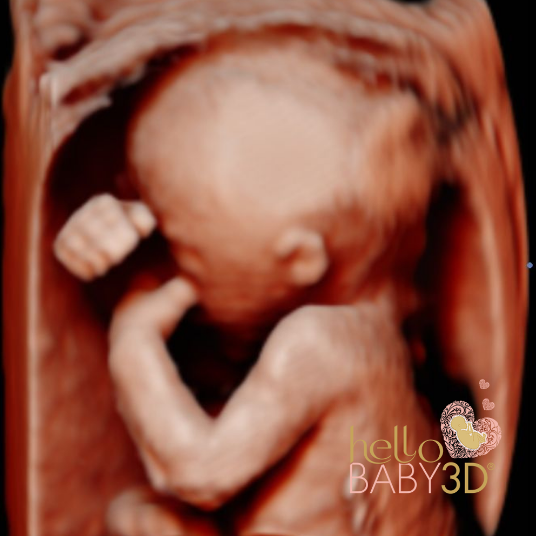 Reassurance 3D Pregnancy Ultrasound (20-40 weeks) (5).png