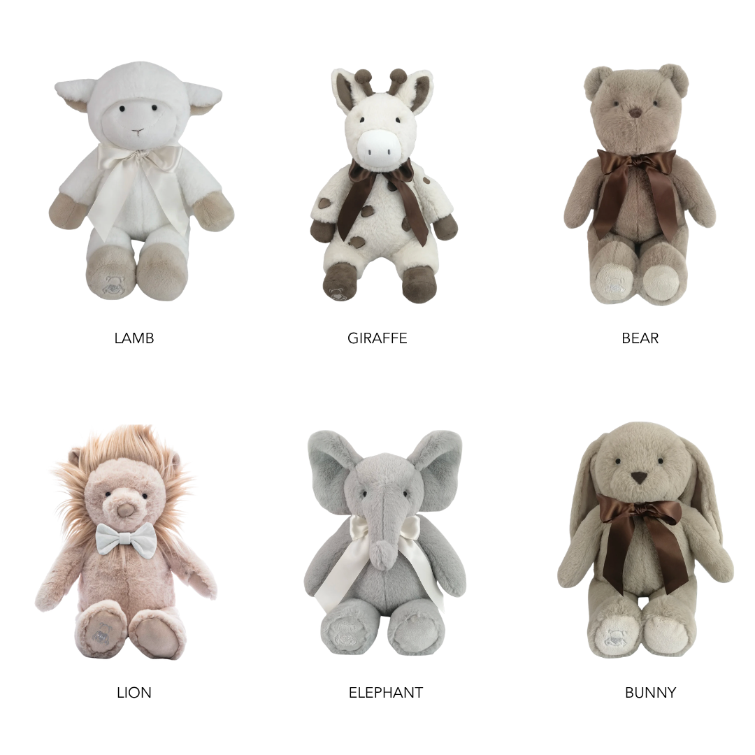 1080x1080 Heartbeat Teddy Display.png