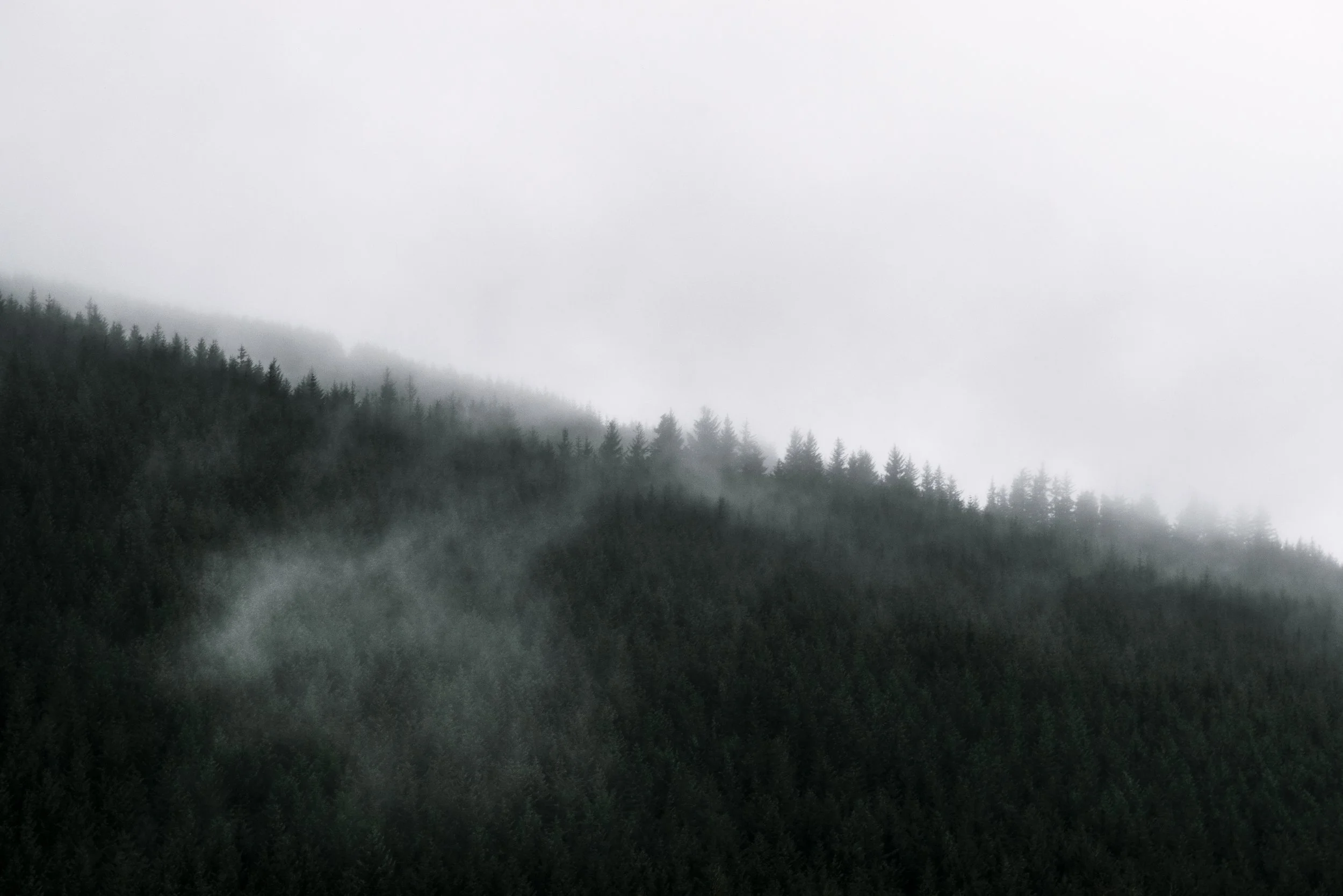 Grisedale pike forest mist Original ratio.jpg