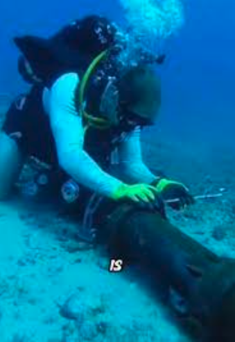 Monitoring, maintenance and repair of undersea cable is a challenge being met by new BlueTech ventures.