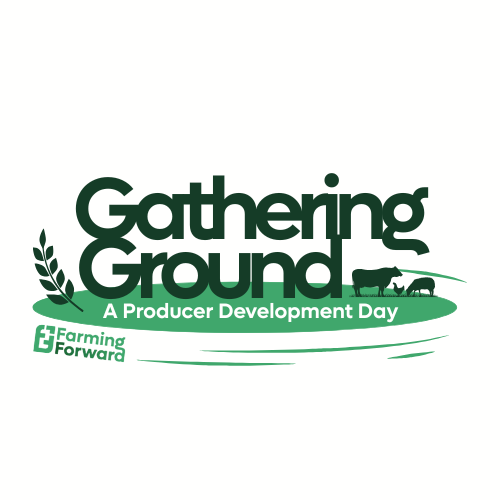Gathering Ground - A Producer Development Day