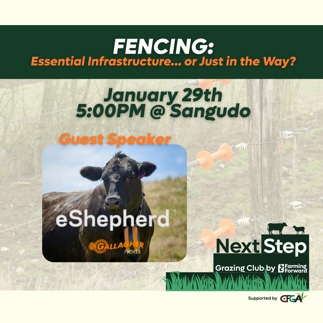 Fencing: Essential Infrastructure… or Just in the Way?
