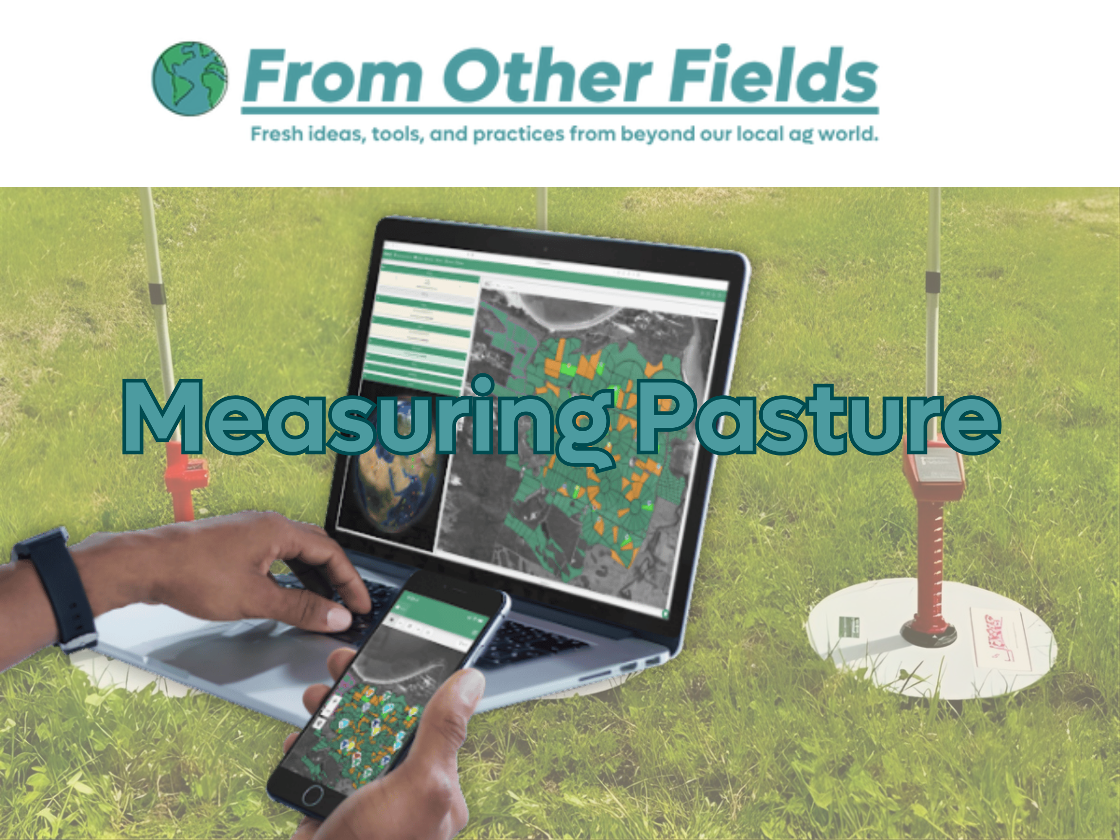 From Other Fields: What Global Grazing Systems Can Teach Us About Measuring Pasture