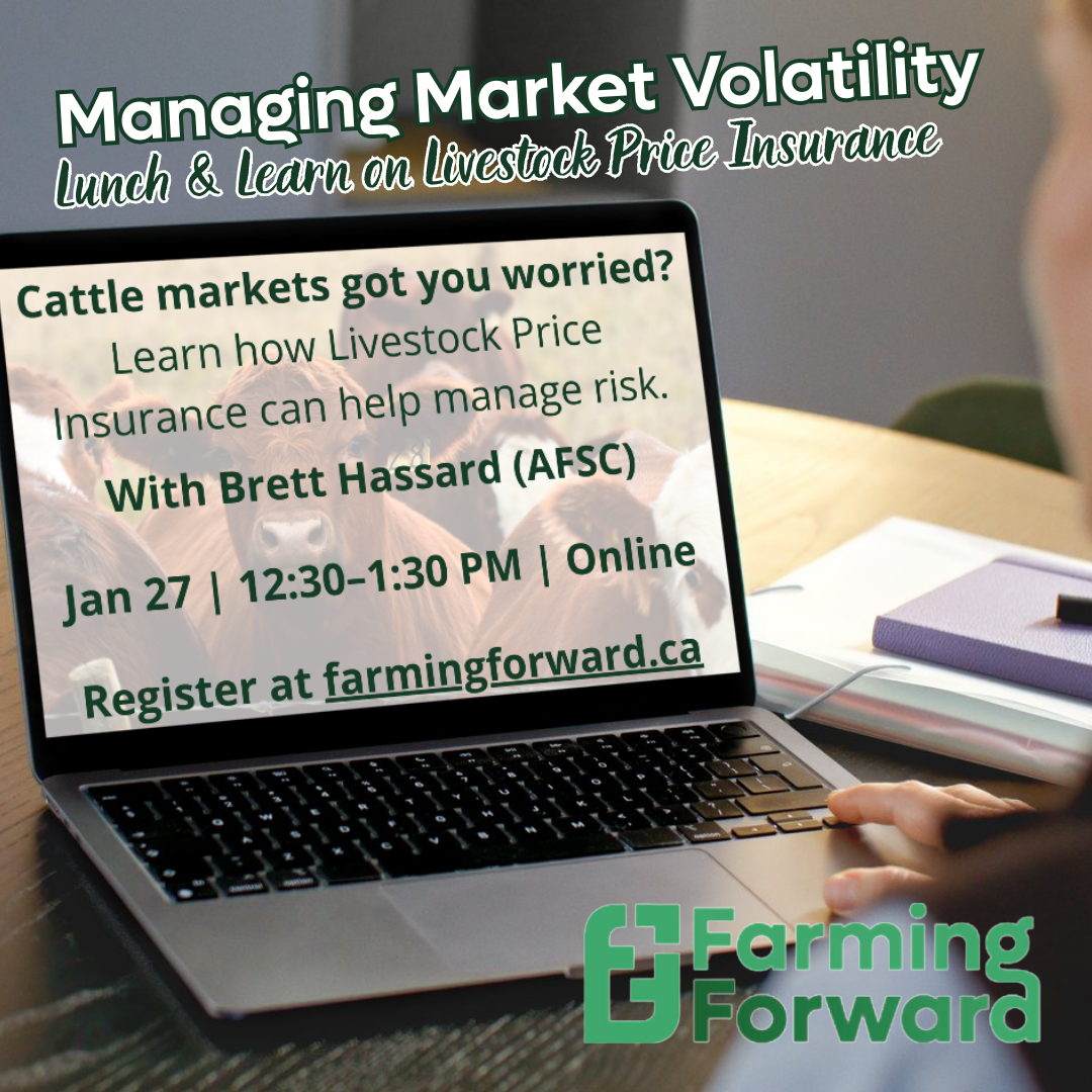 Managing Market Volatility: A Lunch and Learn on Livestock Price Insurance