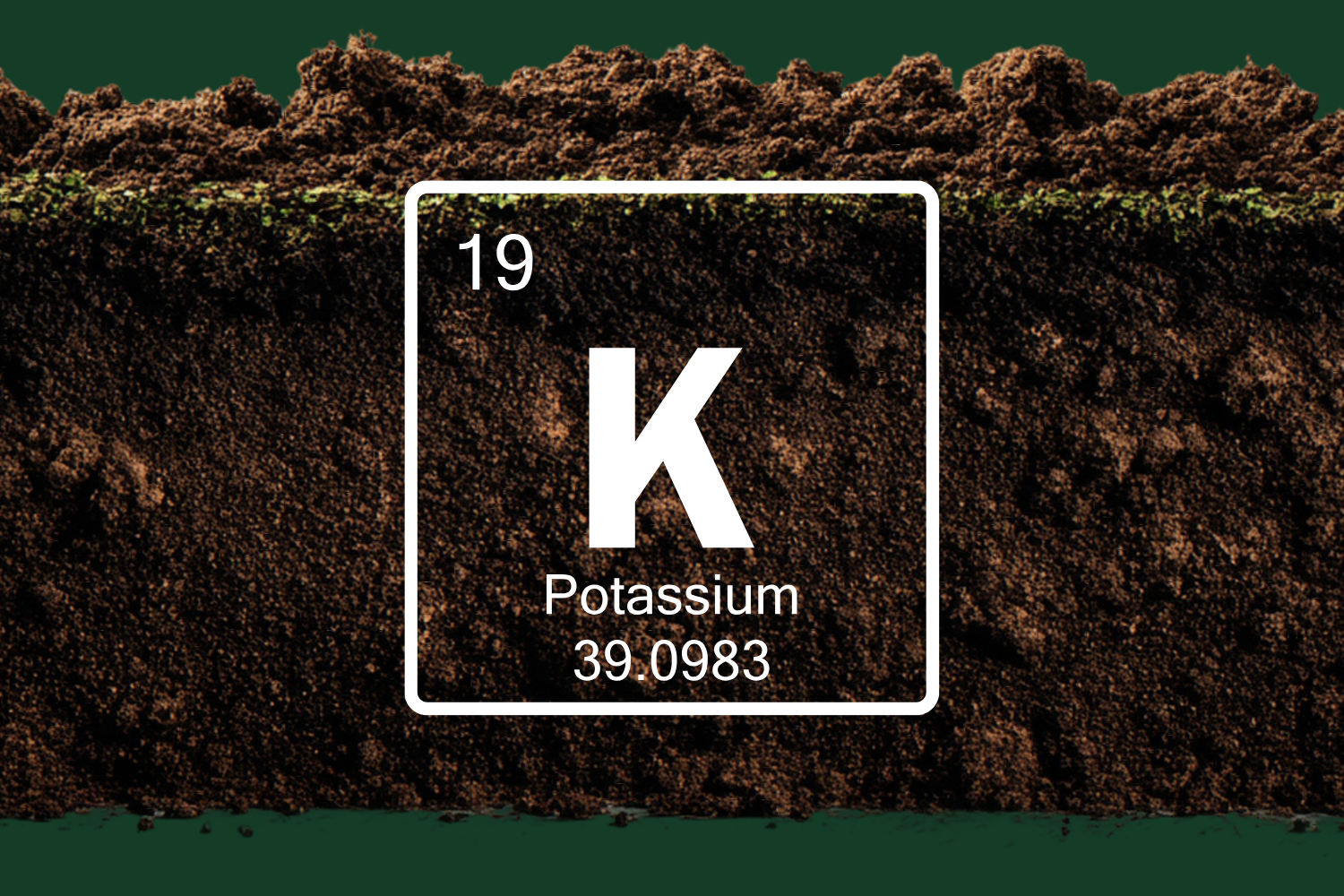 Are Potassium Levels a Limiting Factor in Alberta Soils?