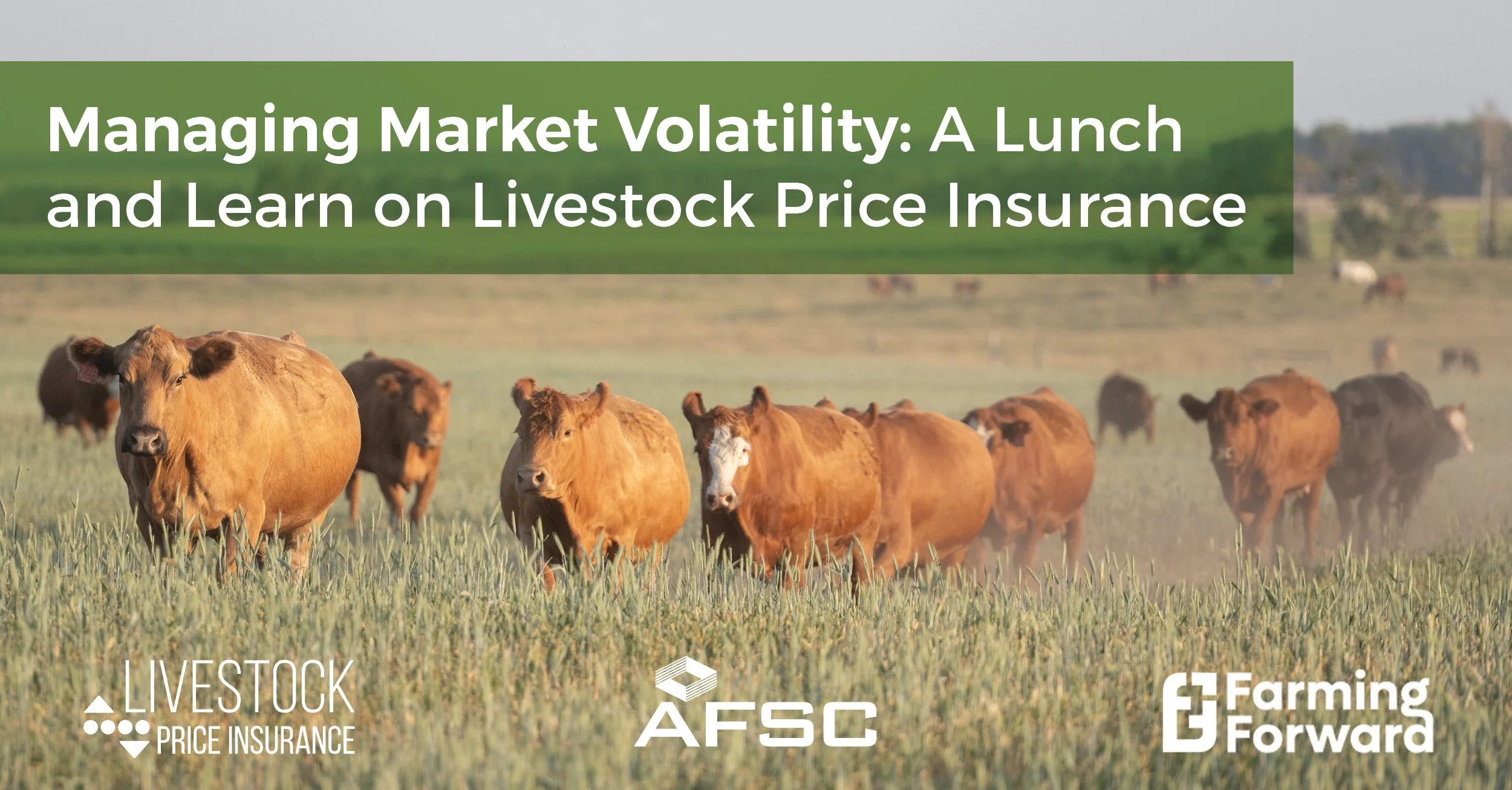 Managing Market Volatility with Livestock Price Insurance (Webinar Recording)