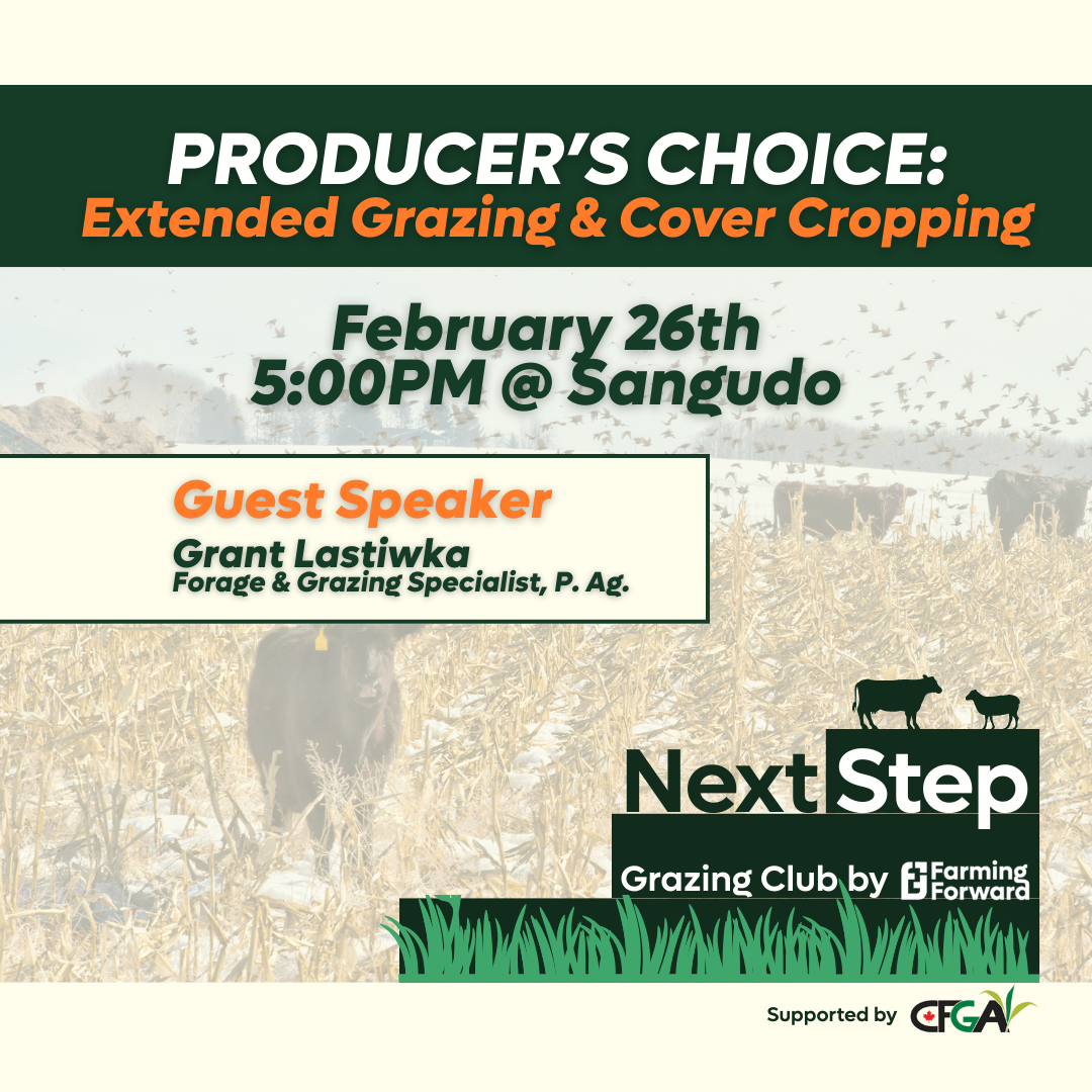 Producer’s Choice: Extended Grazing &amp; Cover Cropping