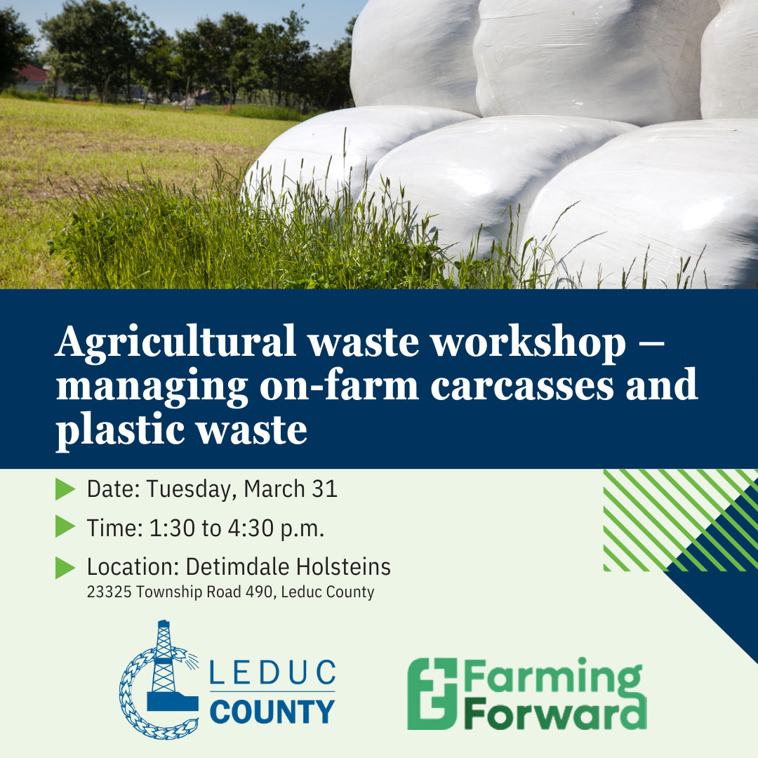 Agricultural Waste Workshop - Managing on-farm carcasses and plastic waste
