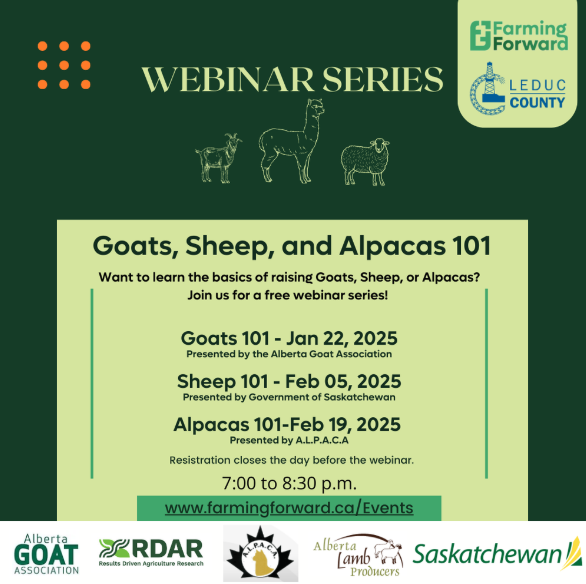 Sheep 101 Webinar Recording