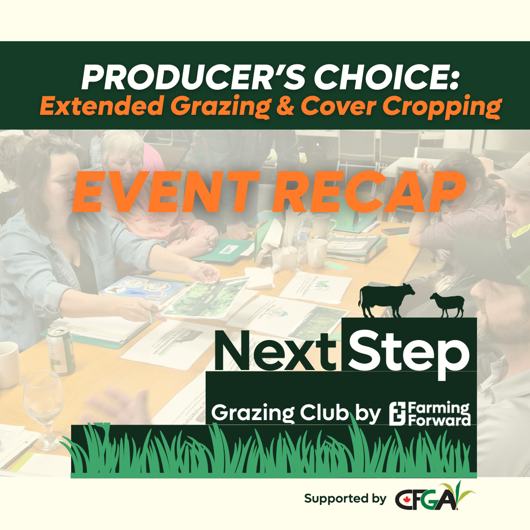 Winter Grazing Club Wrap-Up: Extended Grazing &amp; Cover Crops