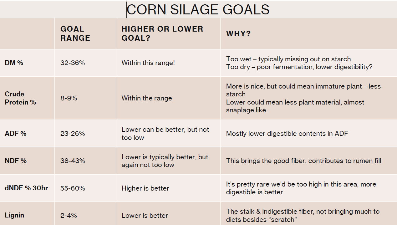 Screenshot 2026-03-27 125238.png