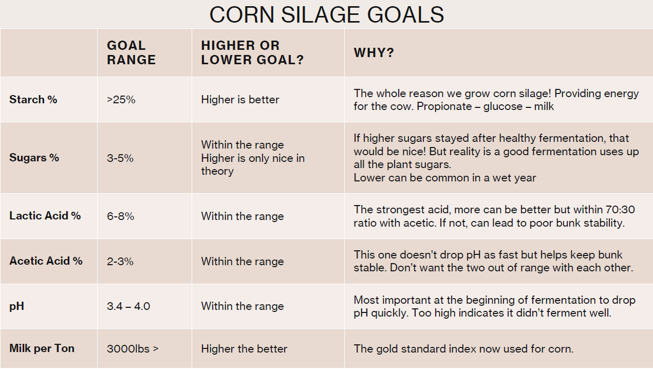 Screenshot 2026-03-27 125248.png