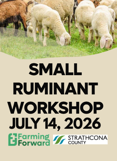 Small Ruminant Workshop