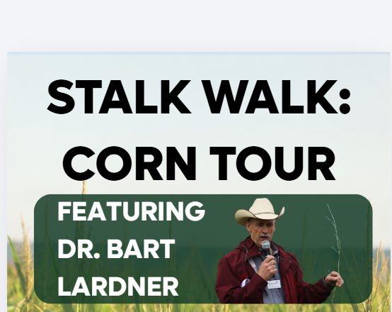 Stalk Walk: Corn Tour