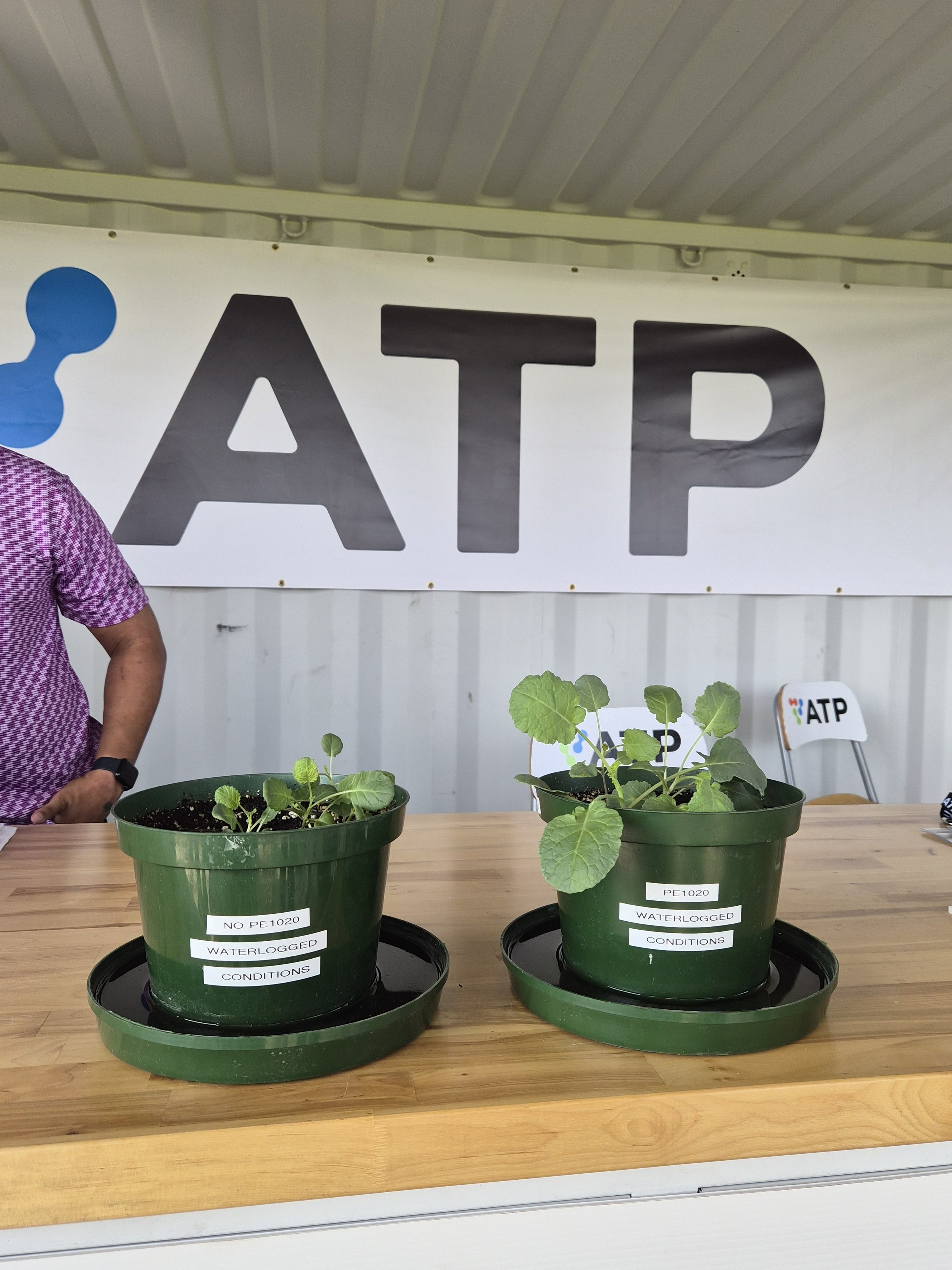 Can Better Plant Nutrition Unlock Higher Yields?